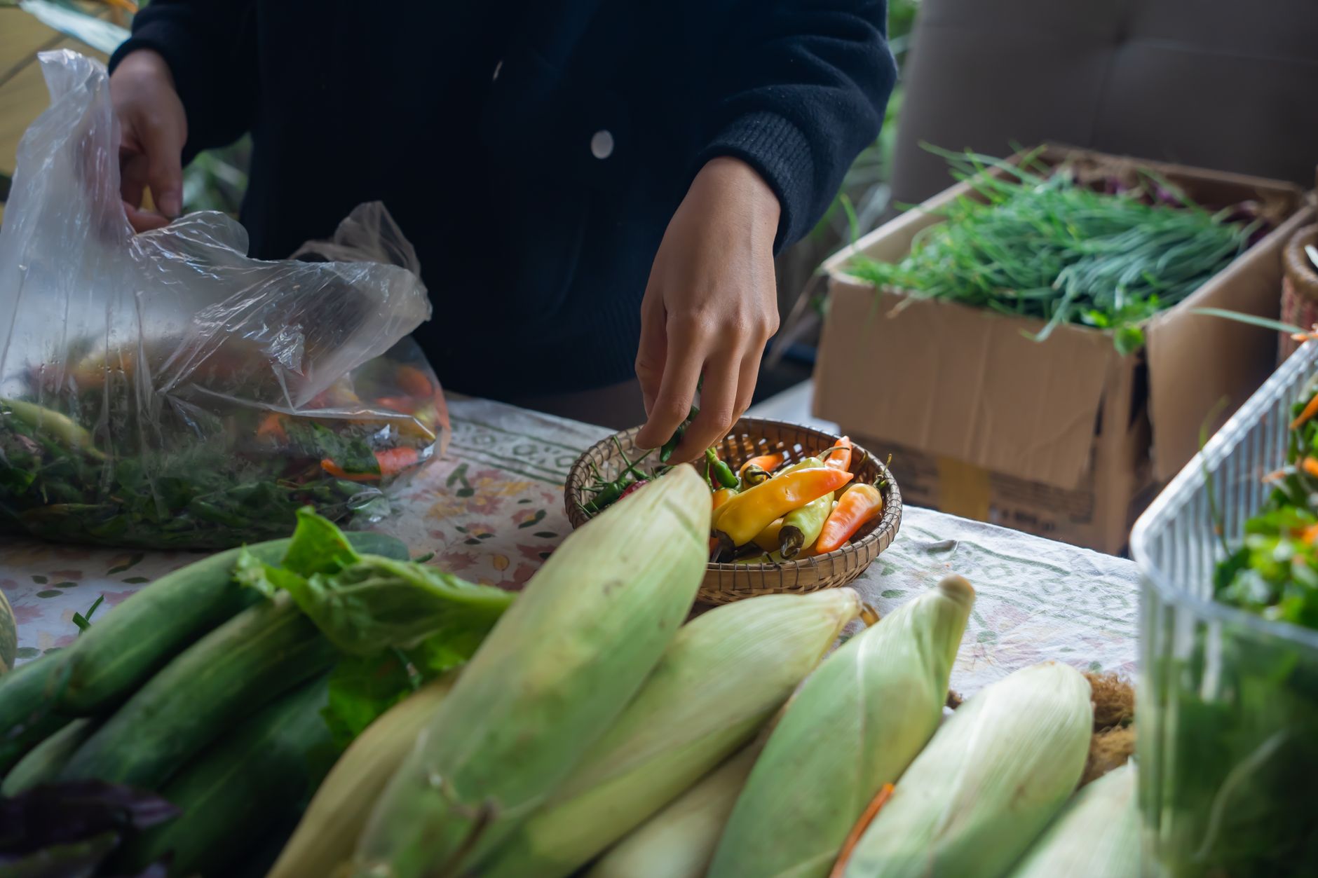 Fresh Vegetable Selection at Farmers Market
