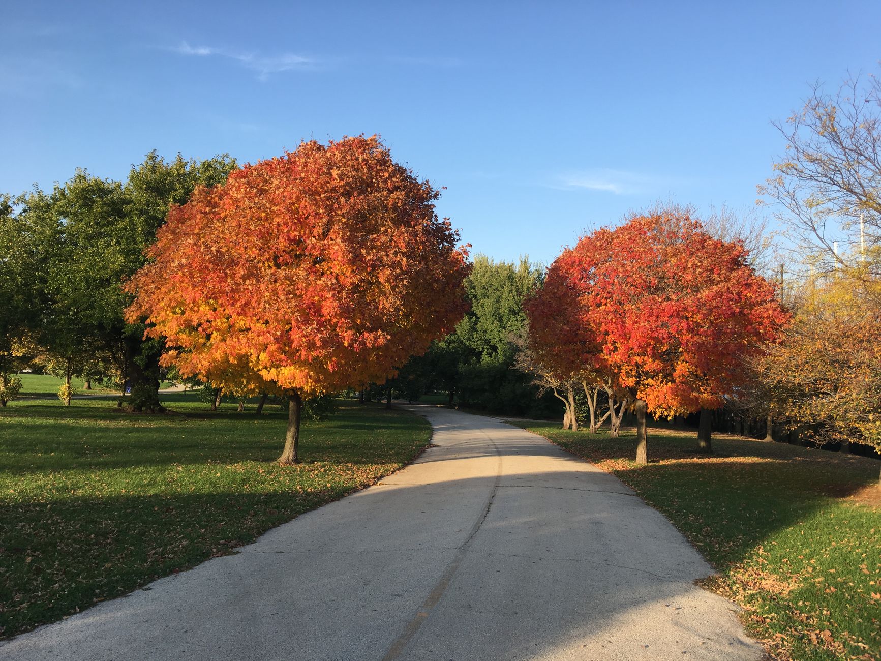 Chicago's Forest Preserves and Trails Offer Residents Endless Outdoor Adventure Options