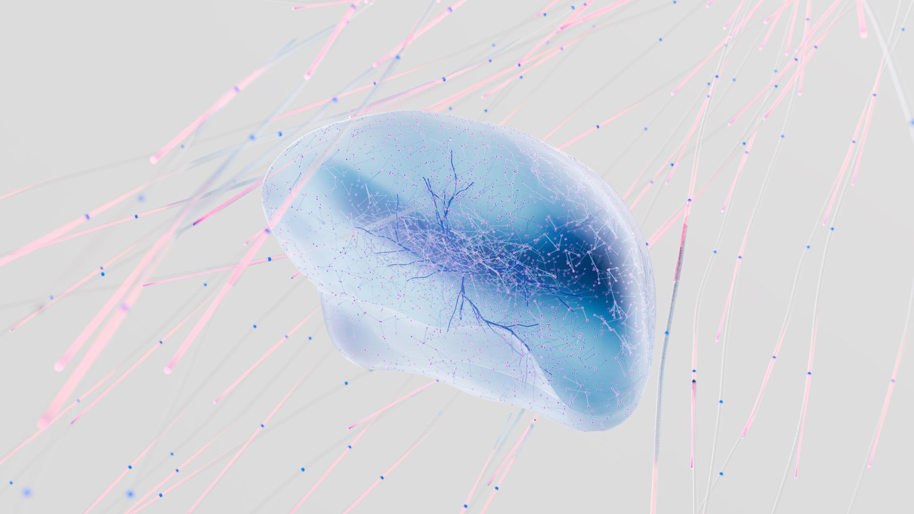Your brain on mindfulness: the neuroscience De Pijp's meditation community already suspected