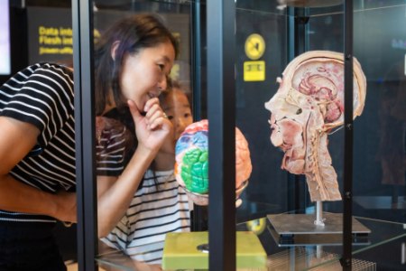 JKU medFOCUS Tour - Sat, Sep 12, 2026, 14:45 at JKU MED Campus, ADM Building, Infodesk, Krankenhausstraße 5 5, 4020 Linz, Österreich