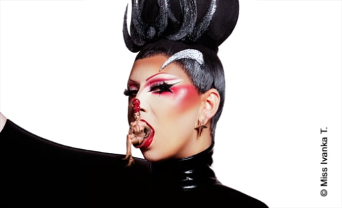 Miss Ivanka T. Chef*in live - Mo., 23.11.2026, 20:00 at Posthof, Posthofstraße 43, 4020 Linz, Österreich