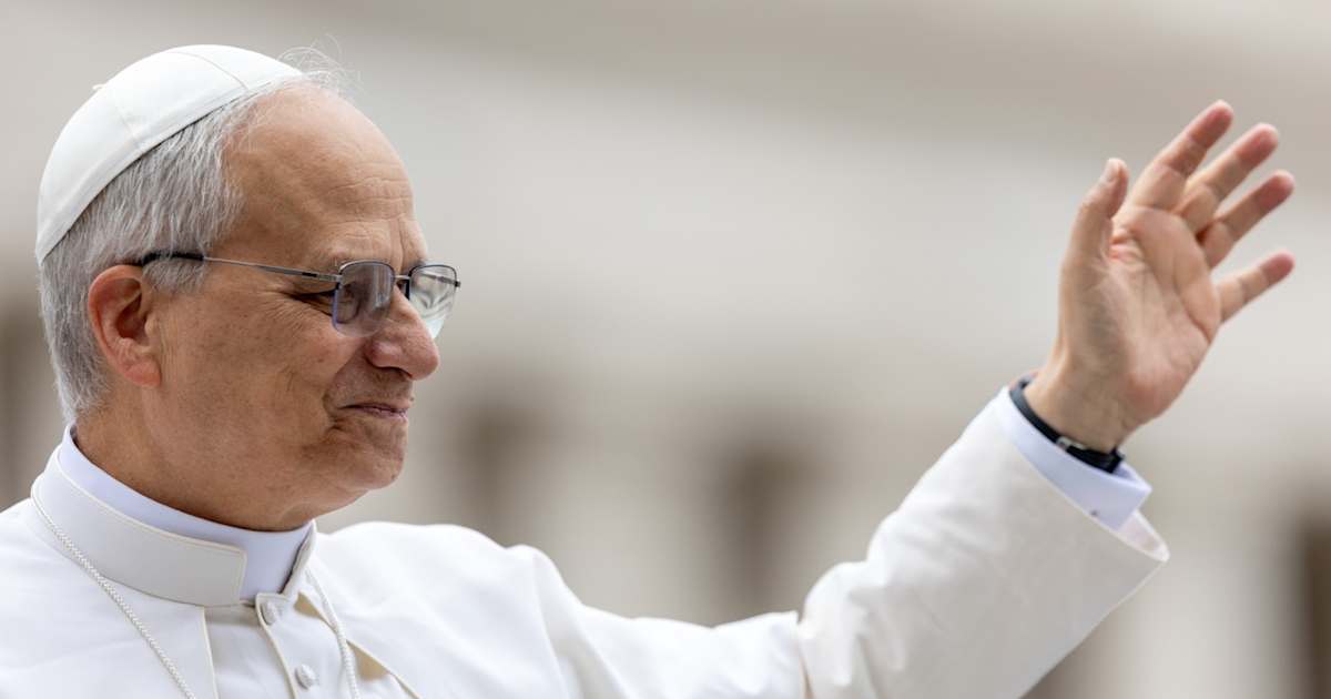 Pope Leo XIV appeals for end to hostilities in Gaza in first general ...