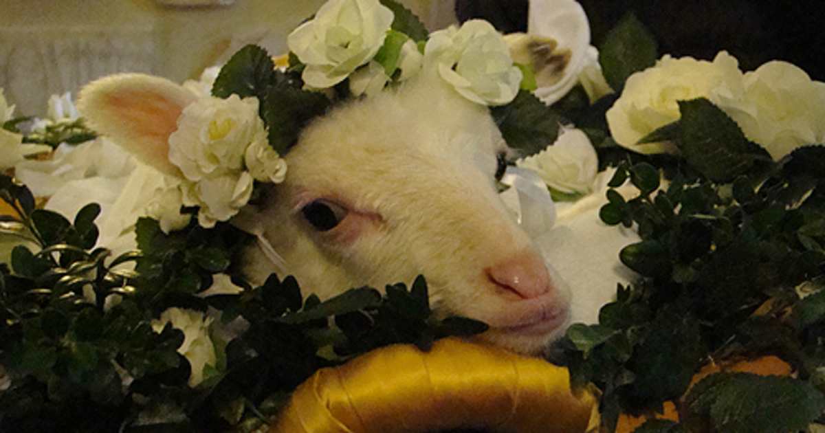 The origins of St. Agnes, child saint and martyr
