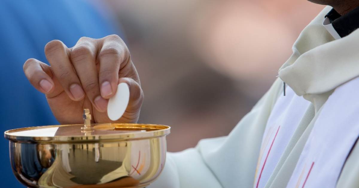 What are schism and excommunication in the Catholic Church?