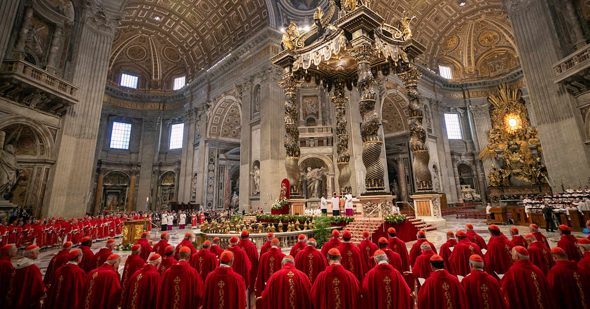 Who are the cardinals who will choose the next pope?