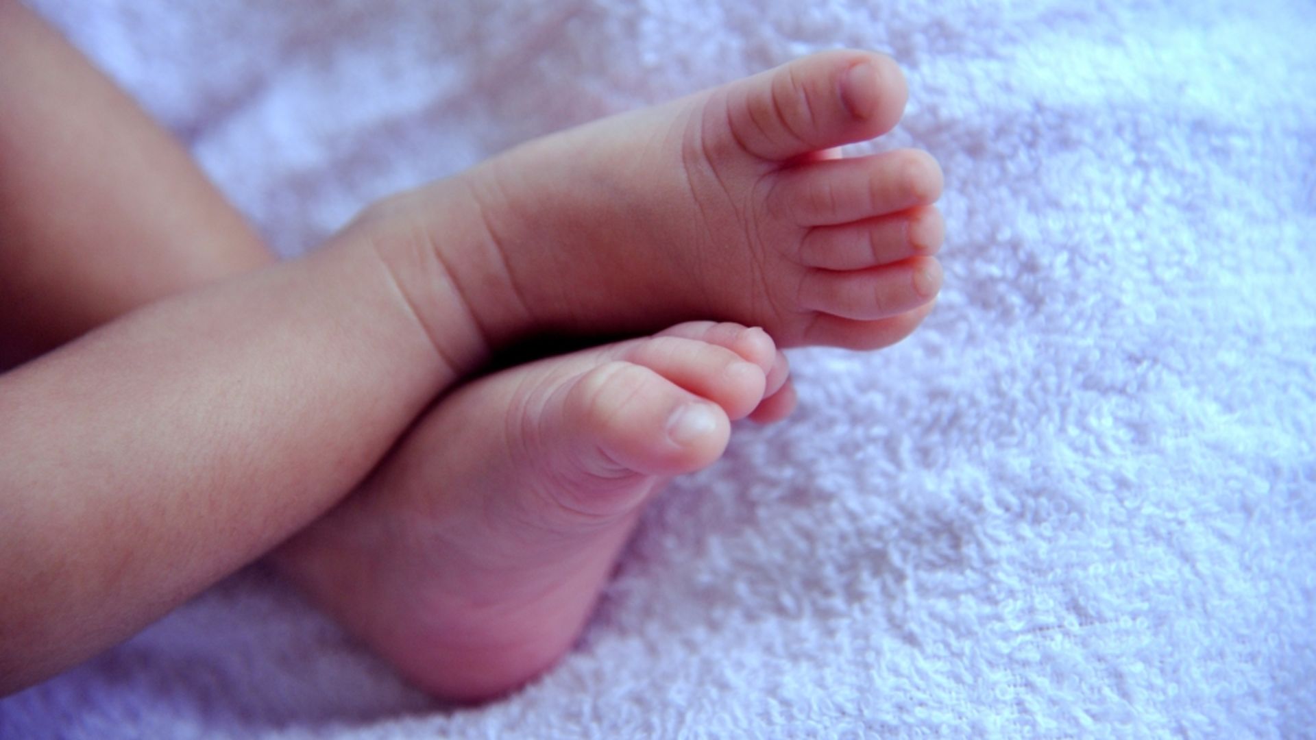Major abortion group calls for abortion until birth