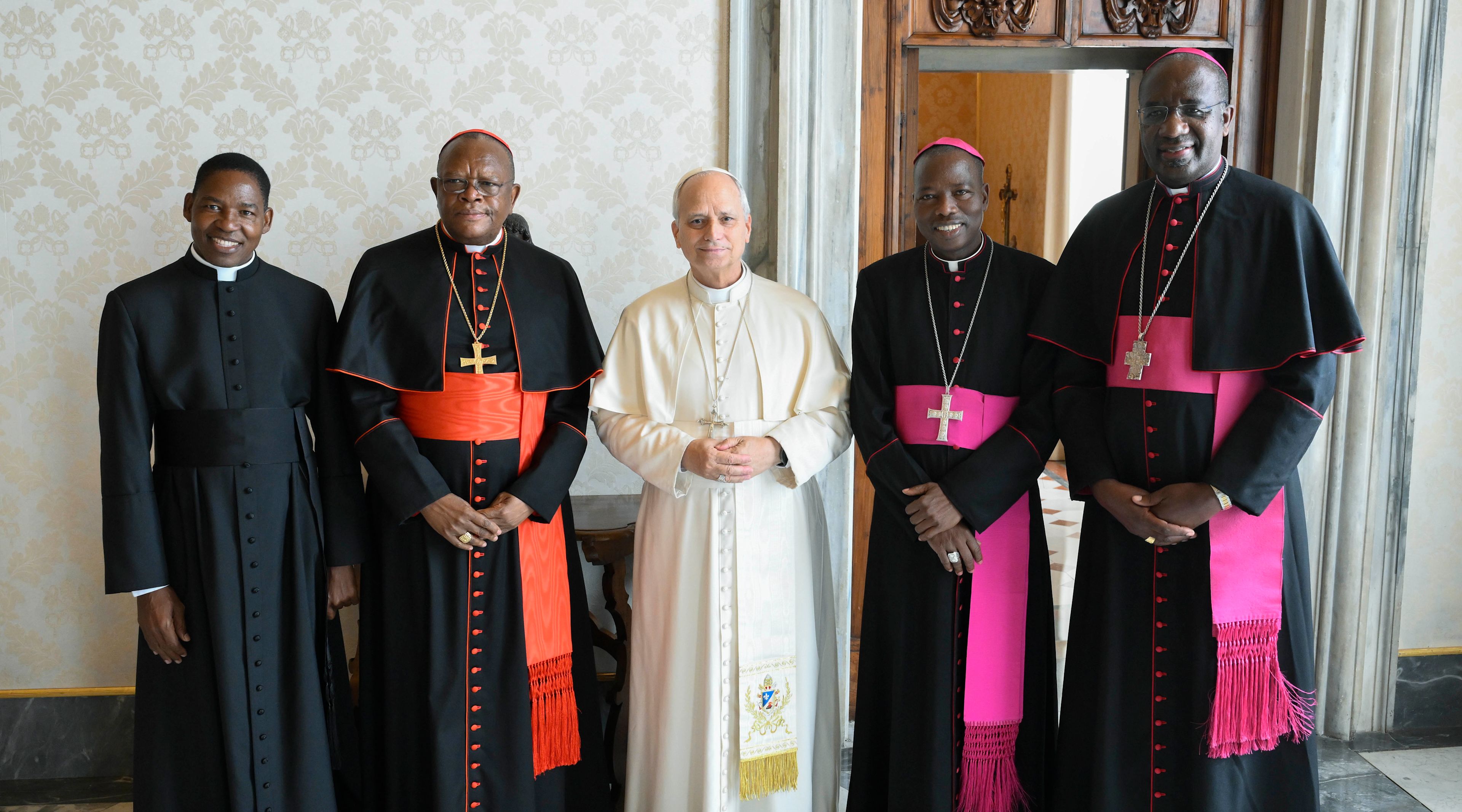 First meeting with Pope Leo XIV marks new chapter for Church in Africa