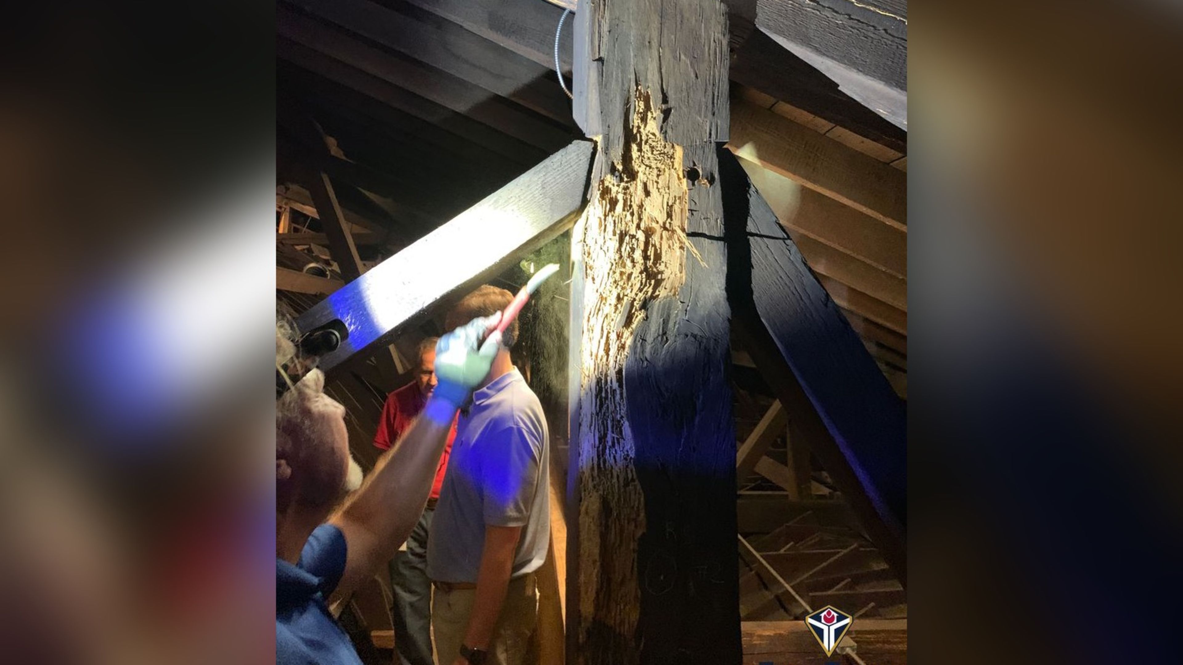 Archdiocese of Mobile awarded $25 million over termite damage at cathedral