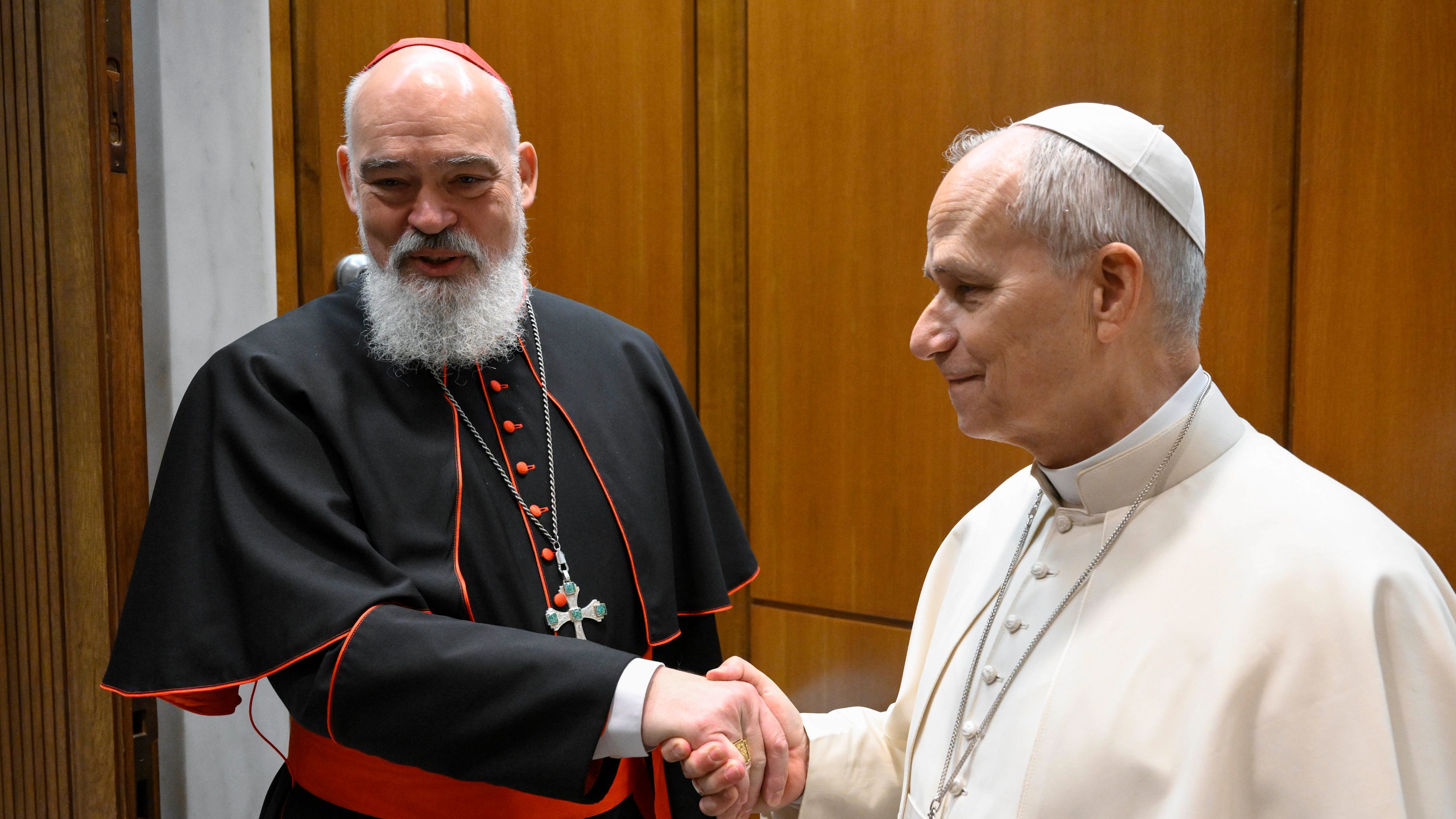Tehran cardinal meets with Pope Leo XIV after being evacuated from Iran