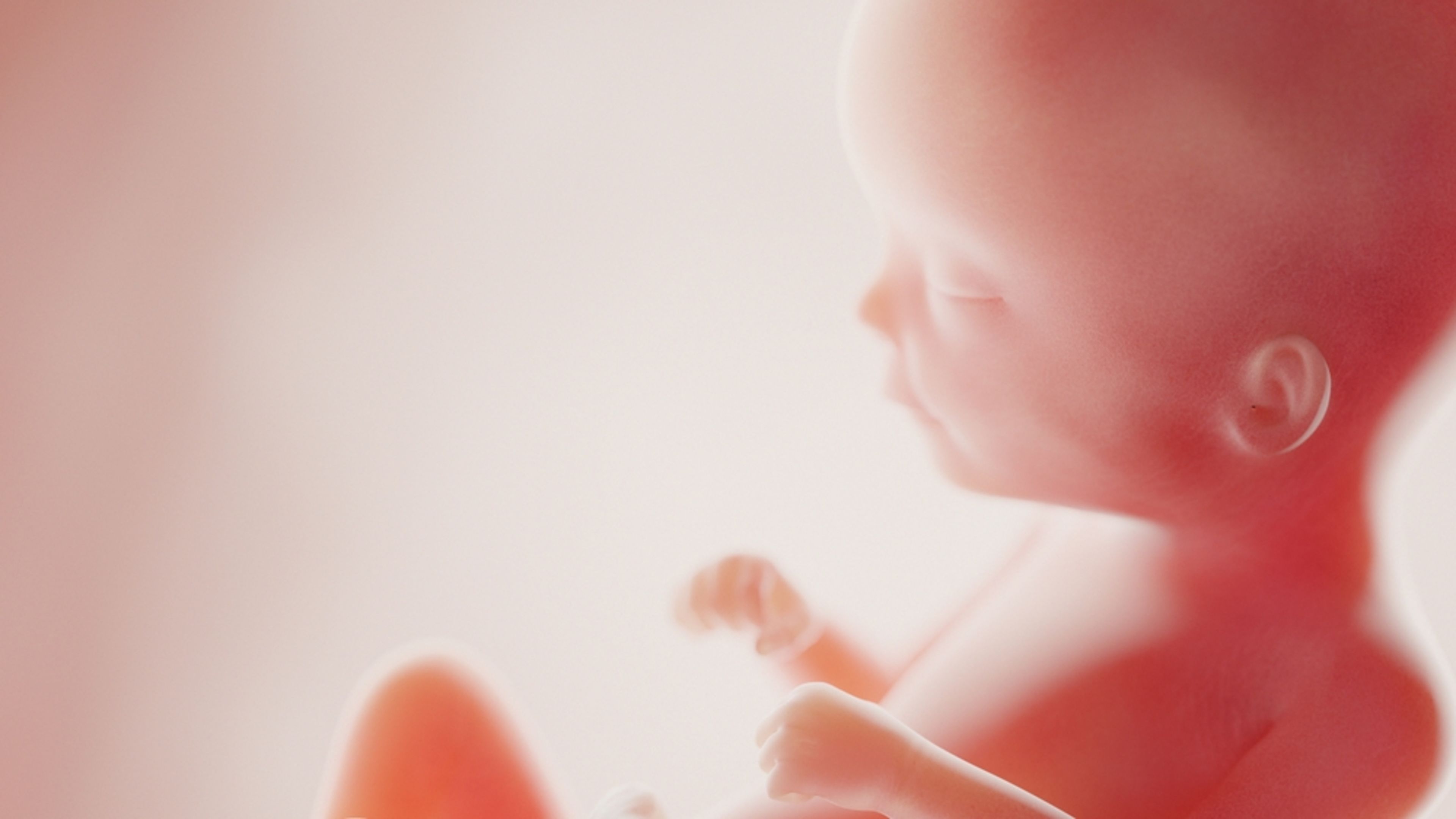 Pro-lifers rally for baby left to die after failed abortion