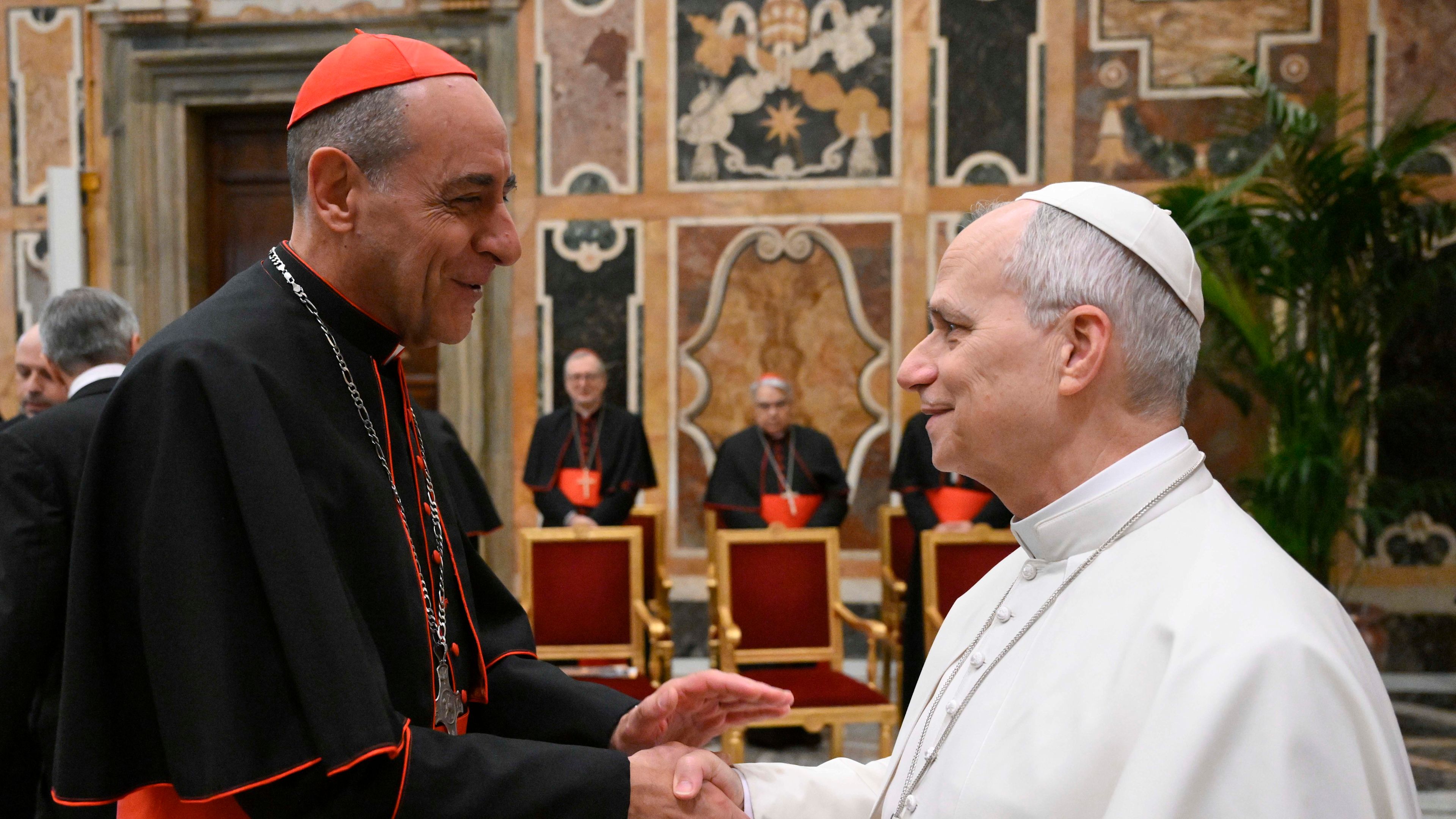 Leo urges doctrine office to give clear guidance in face of new challenges