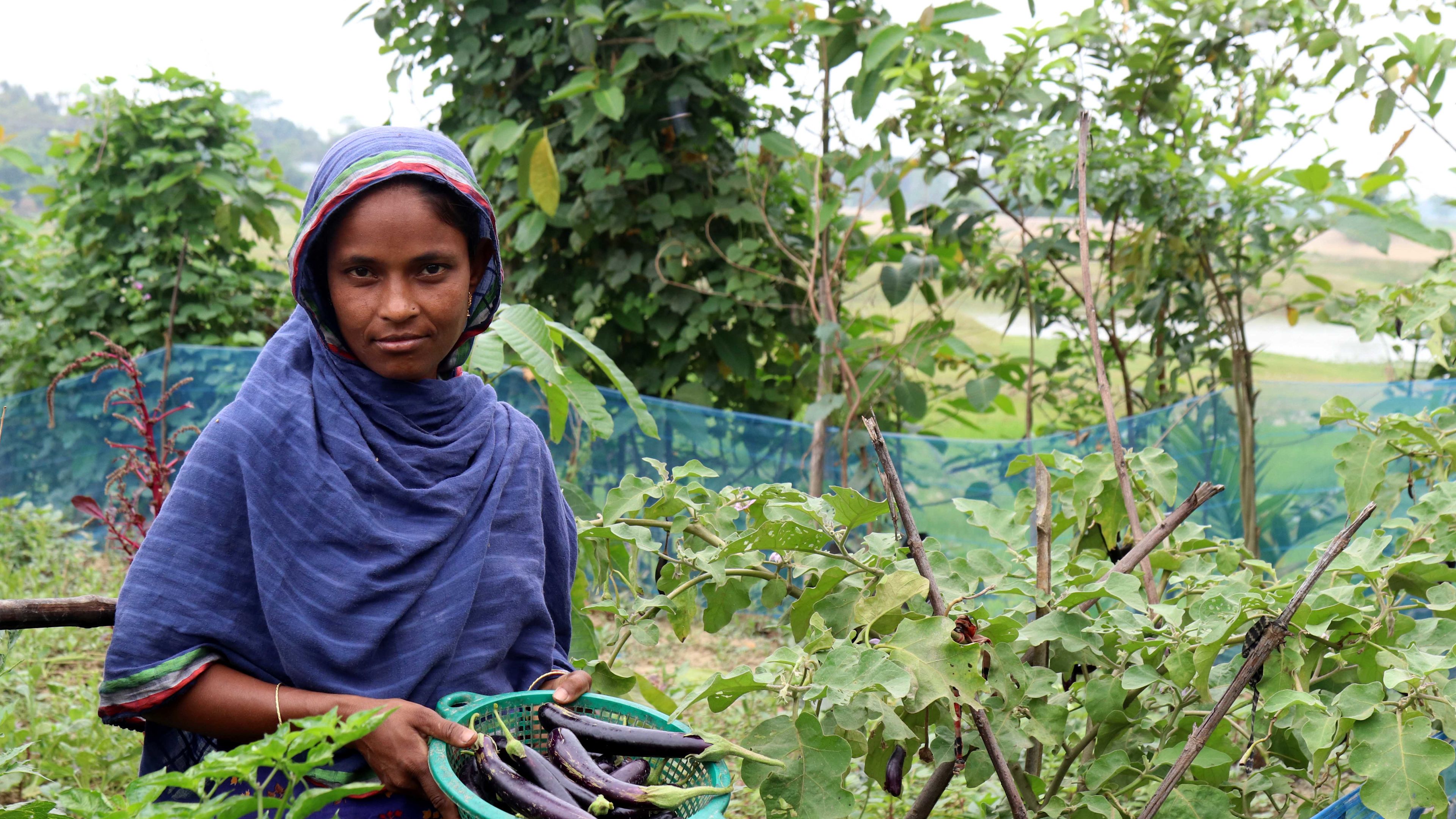 In Bangladesh, Caritas project puts Laudato Si’ into practice for poor families 