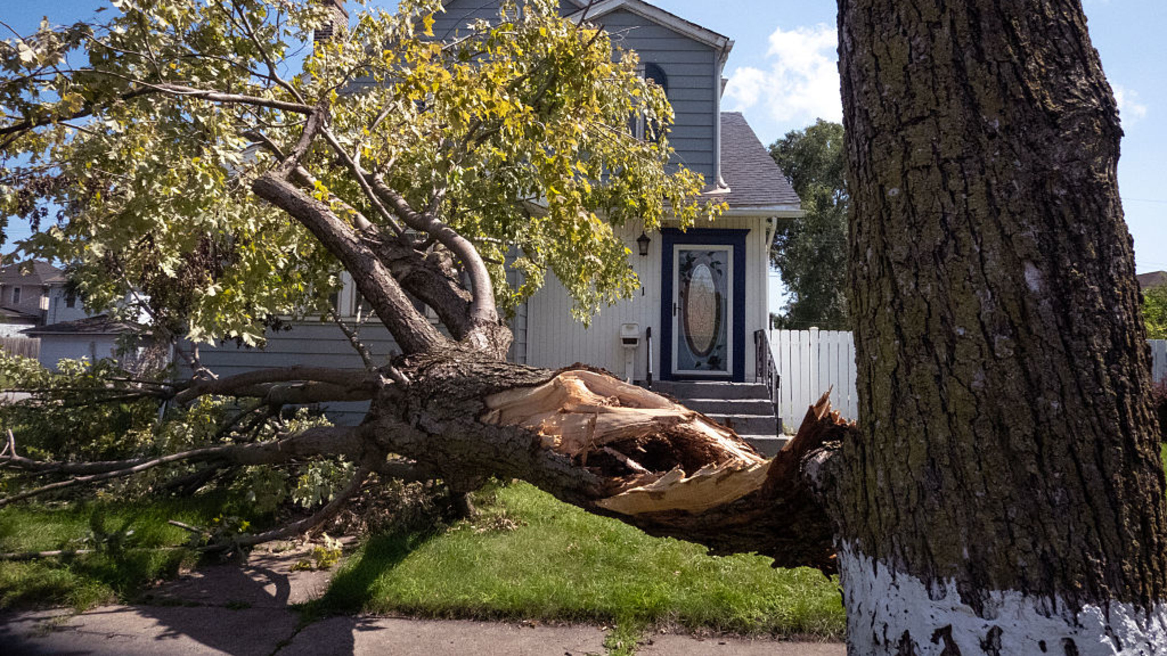 A tree toppled during a recent storm rests in front of a home on Aug. 20, 2026, in Gary, Indiana. Many residents in Gary have been without power for days after the storm passed through the city downing trees and power lines. | Credit: Scott Olson/Getty Images