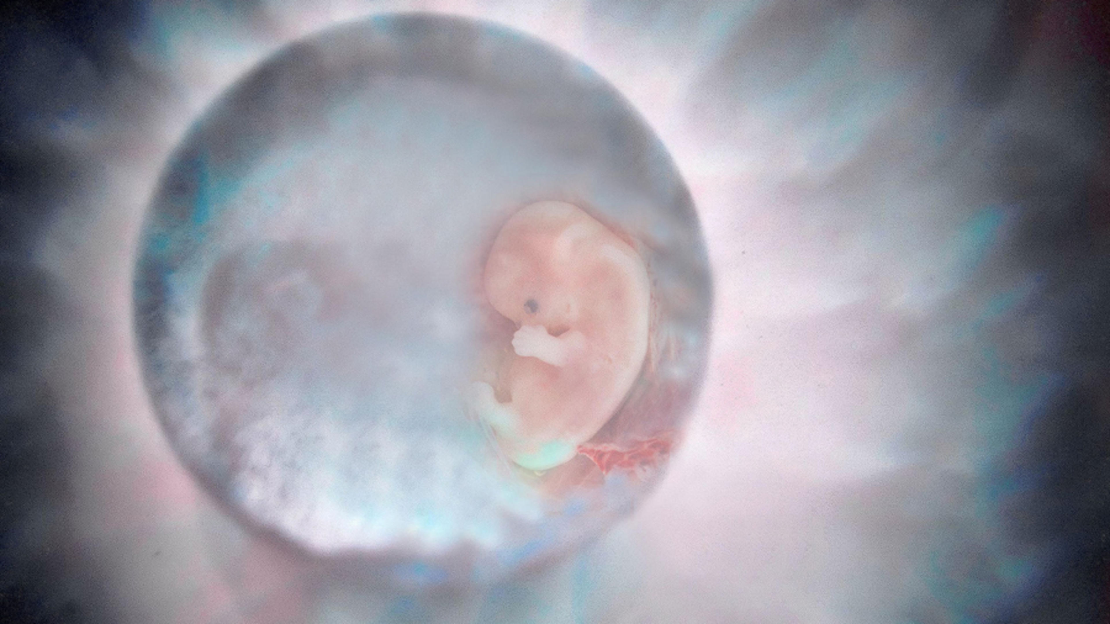 Bioethicists deplore relaxation of 14-day limit on human embryo research