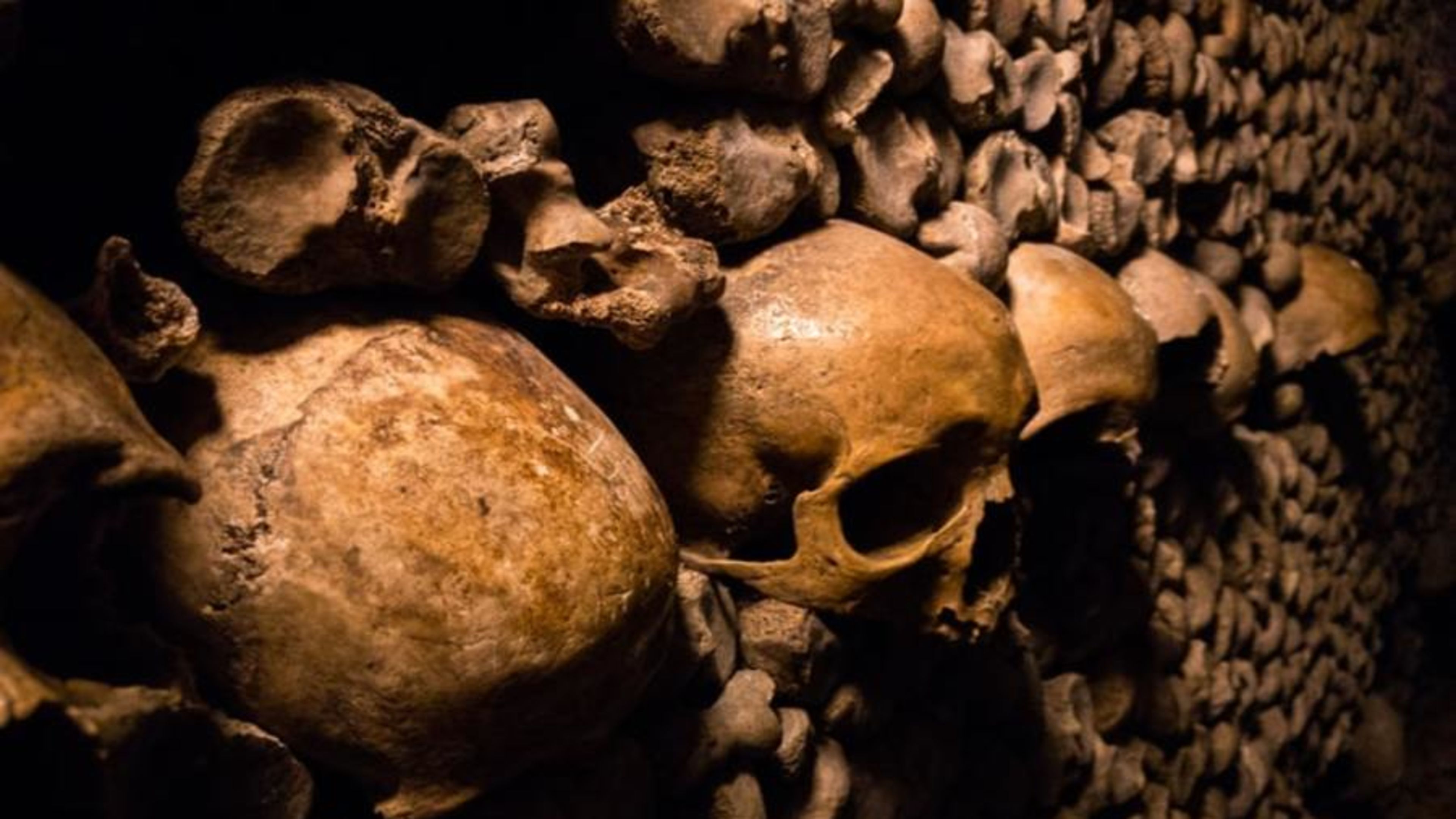 Dead Theologians Society: The 'memento mori' youth group