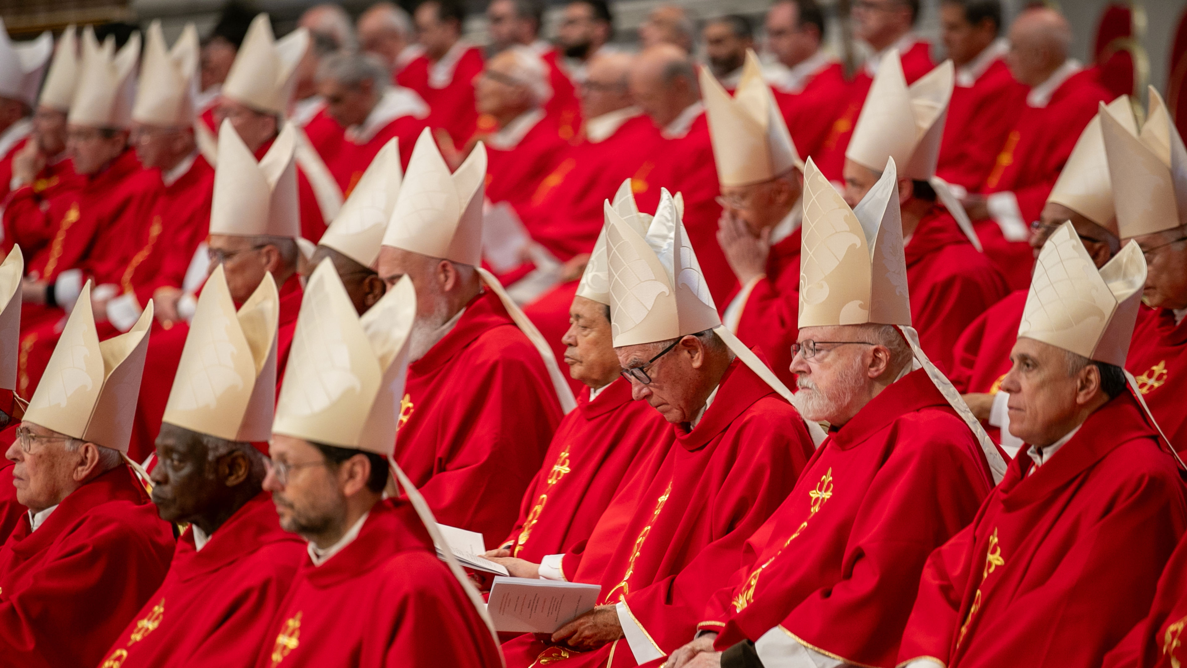 Adopt a cardinal: How Catholics can pray for the electors of the next pope