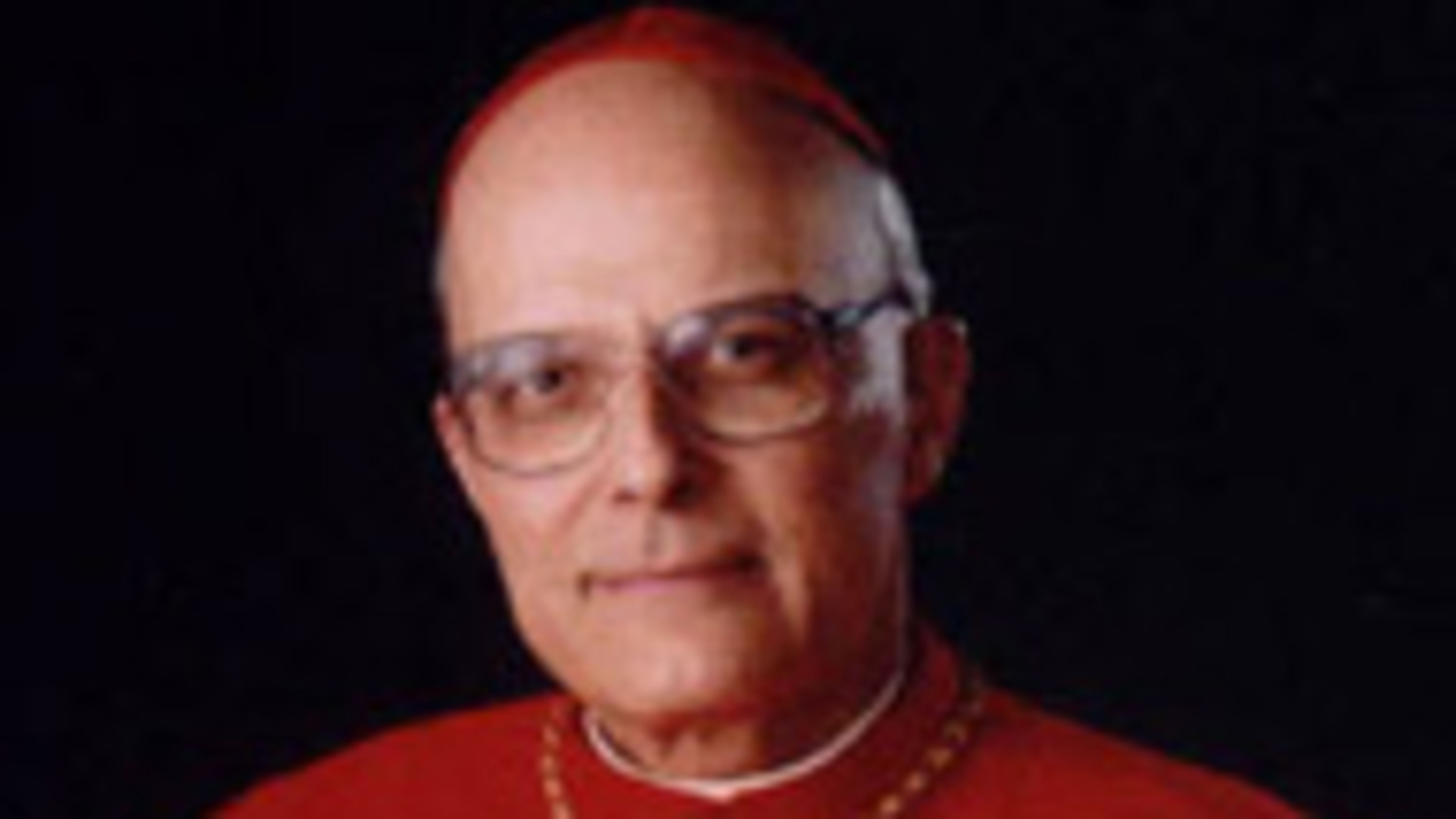 U.S. Bishops elect Cardinal Francis George as president as expected