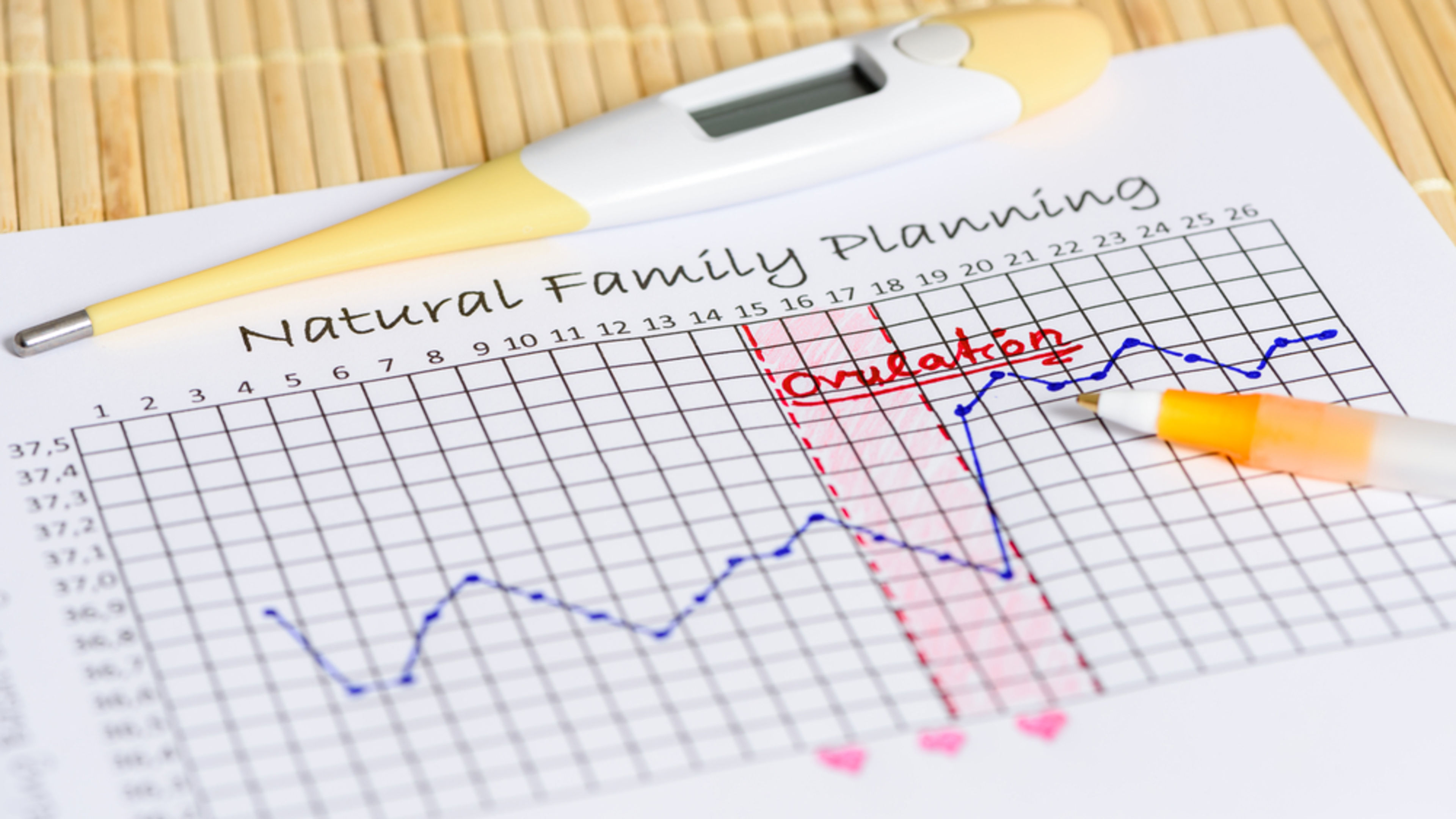A visual depiction of fertility charting used in natural family planning to track the signs of a woman’s menstrual cycle. | Credit: Manuel Findeis/Shutterstock