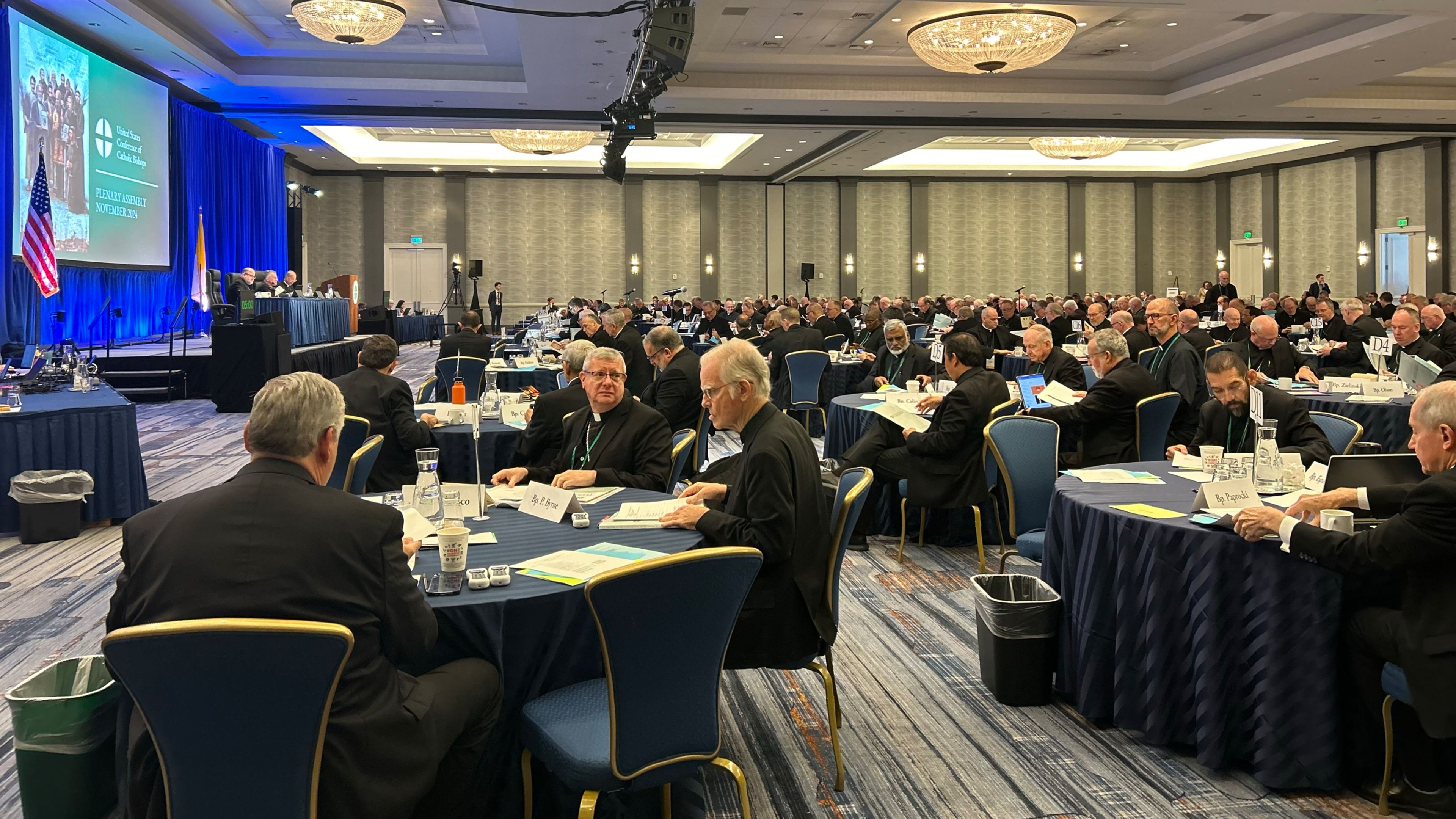 The U.S. bishops gather in Baltimore on Nov. 12, 2024, for their plenary assembly. | Credit: Madalaine Elhabbal/EWTN News