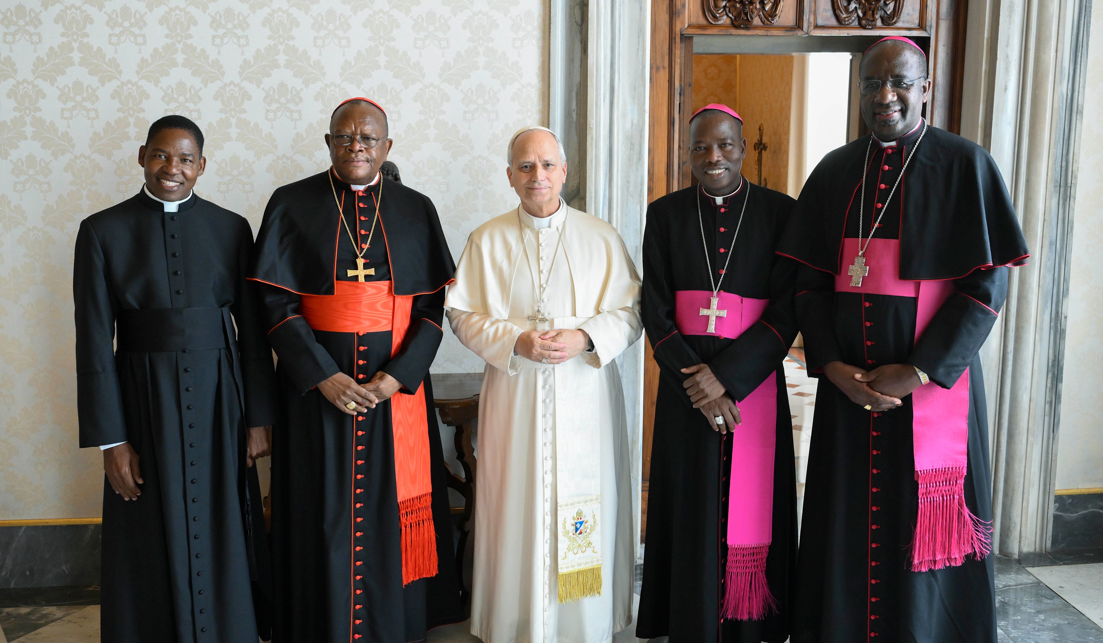 First meeting with Pope Leo XIV marks new chapter for Church in Africa