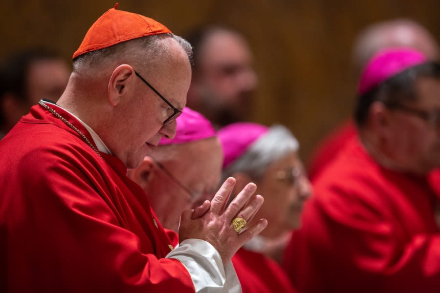 These are the cardinals from the U.S. and Canada participating in the ...
