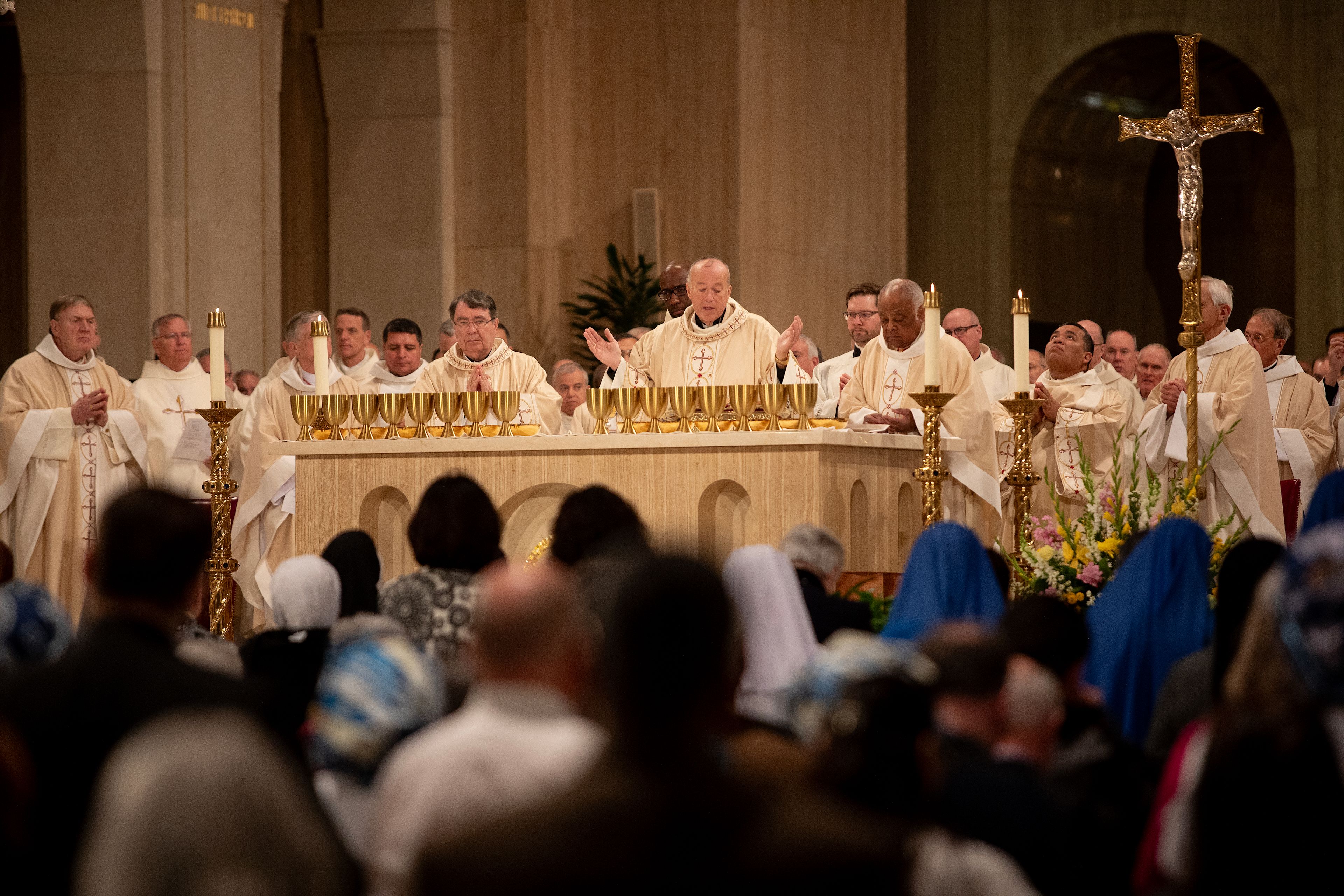 Cardinal McElroy stresses hope, mercy, human dignity as new Washington ...
