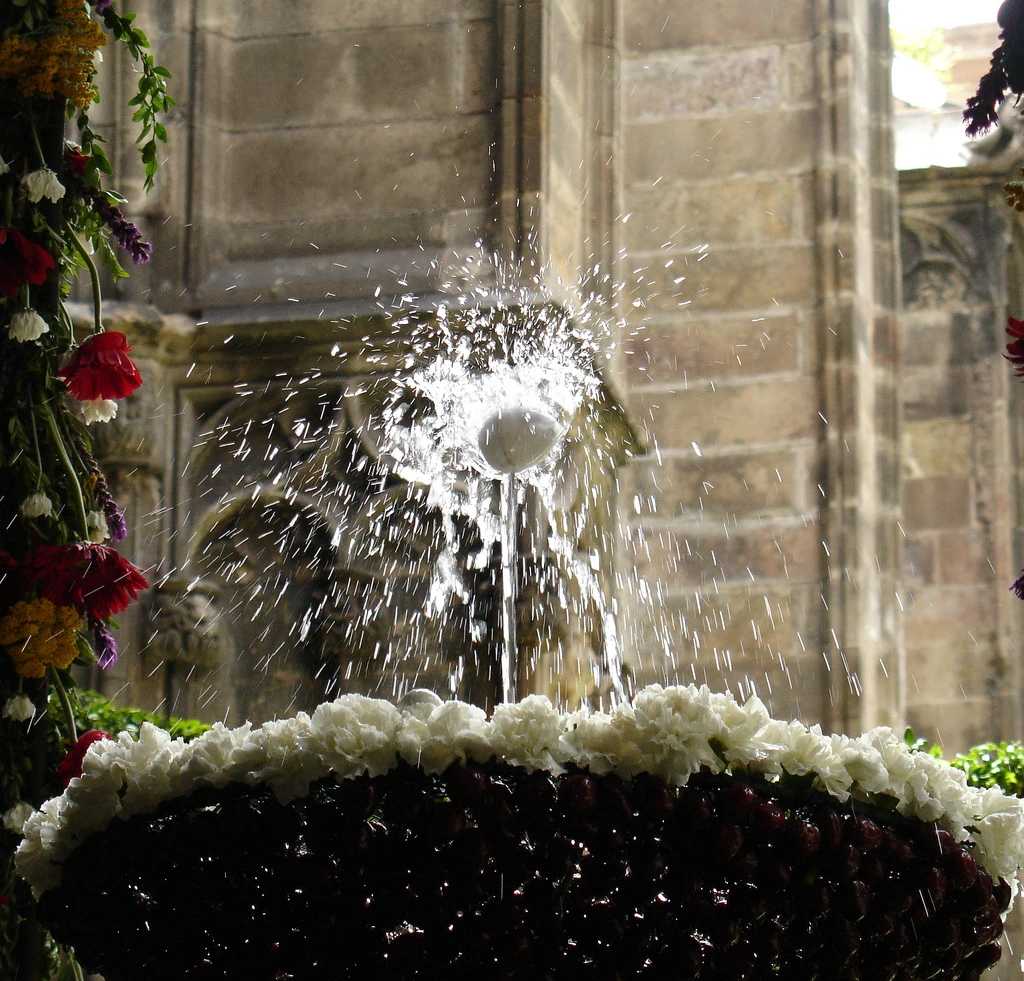 Las 13 ocas de Santa Eulalia: el claustro singular de la catedral que ...