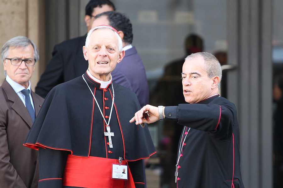 How one cardinal proposes to correct ignorance of marriage's nature