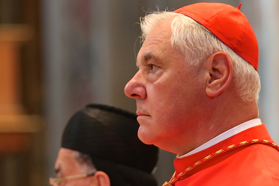 Bishops conferences are not the Magisterium, Vatican doctrine chief ...