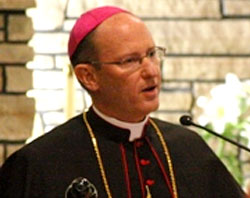 Studying Scripture renews the Church, Denver bishop teaches