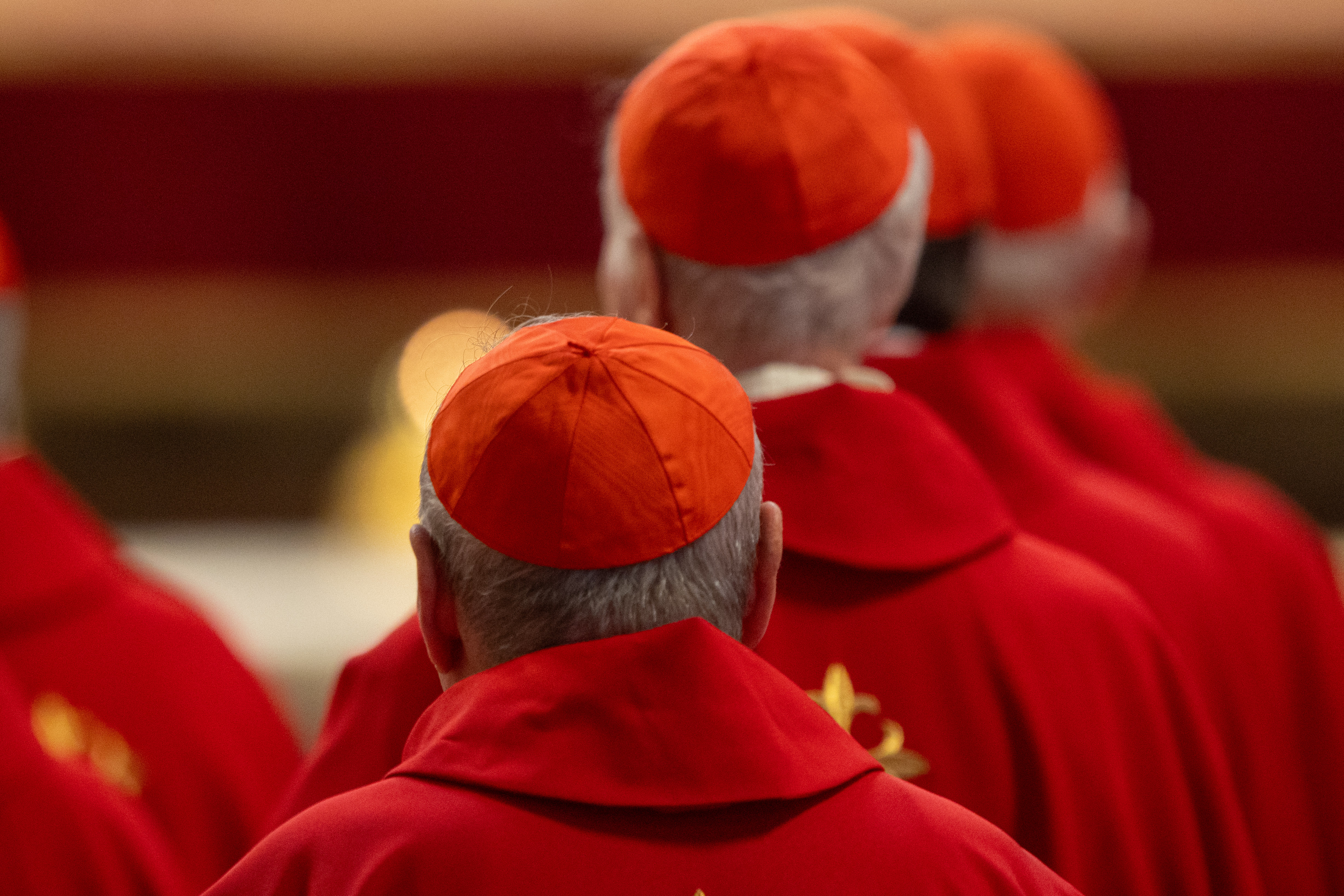 Cardinals gather for the the seventh Novendiales Mass for Pope Francis on May 2, 2025, in St. Peter’s Basilica at the Vatican. | Credit: Daniel Ibañez/CNA 