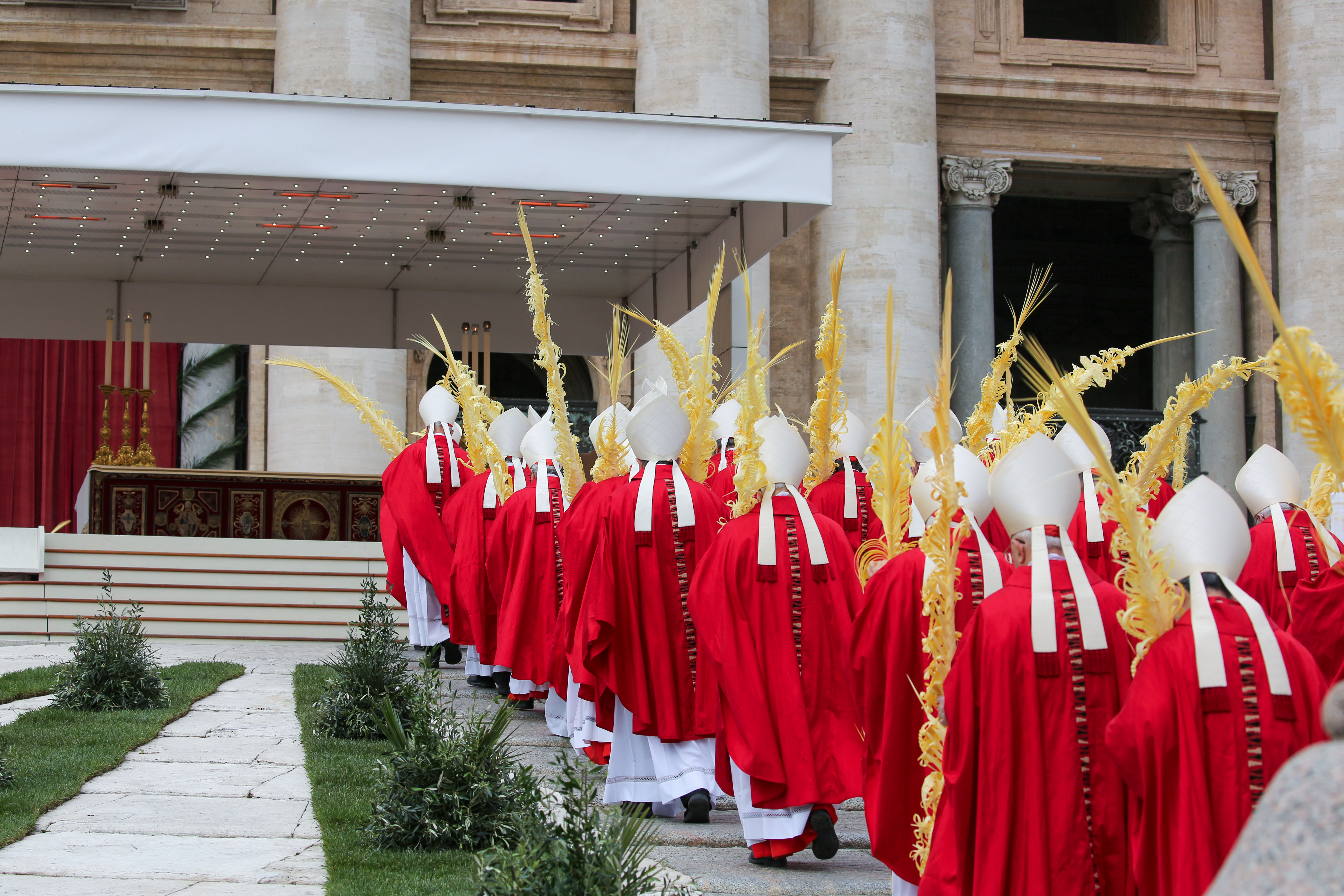 A solemn procession of cardinals and bishops carrying intricately woven palm fronds enters St. Peter&rsquo;s Square during Palm Sunday celebrations in Vatican City, April 13, 2025. | Credit: B&eacute;n&eacute;dicte Cedergren/EWTN News