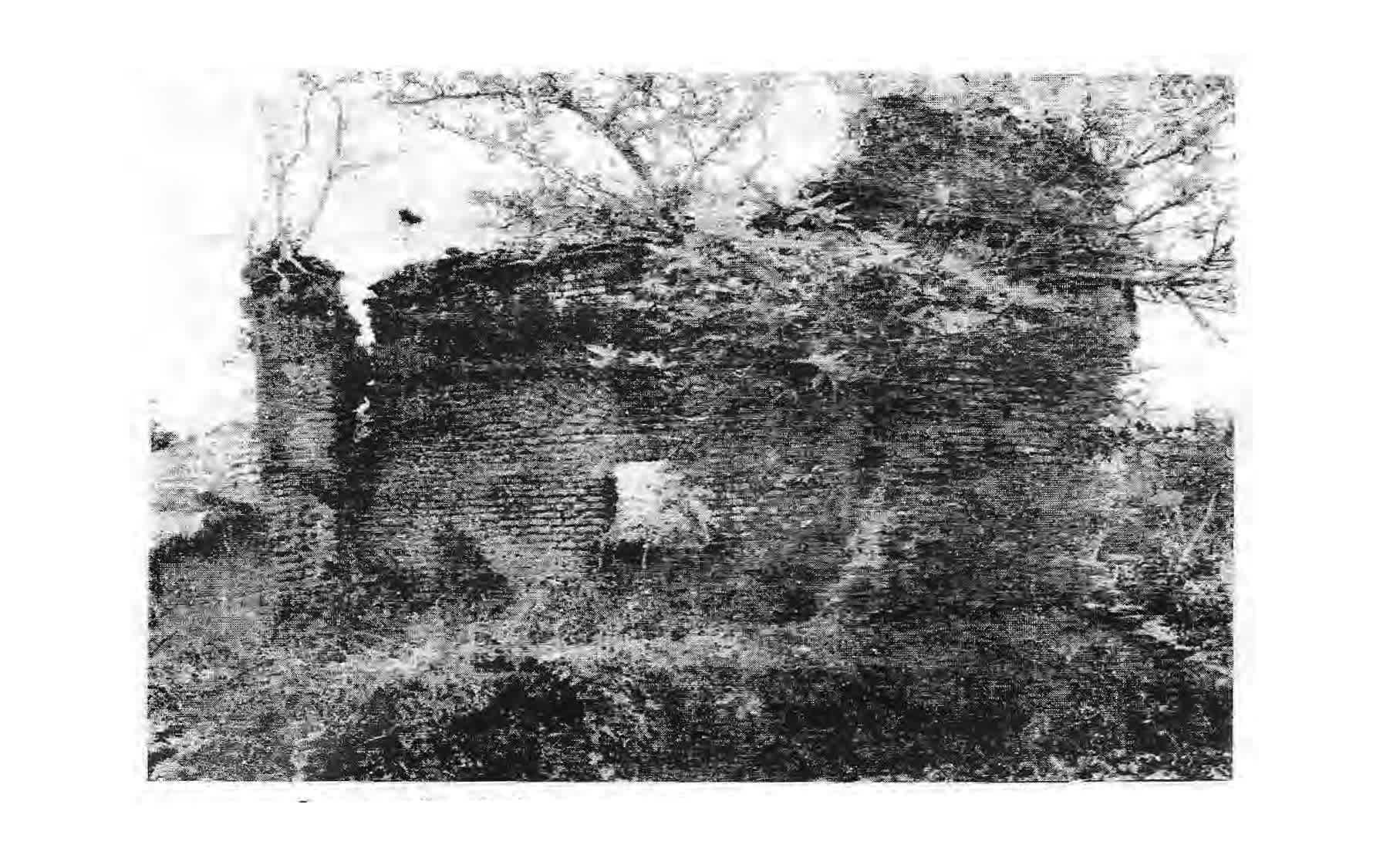 A garden now occupies the site of Bangladesh’s first Catholic church at Iswaripur in Satkhira district. Portuguese Jesuits dedicated the Church of the Holy Name of Jesus here on Jan. 1, 1600. | Credit...