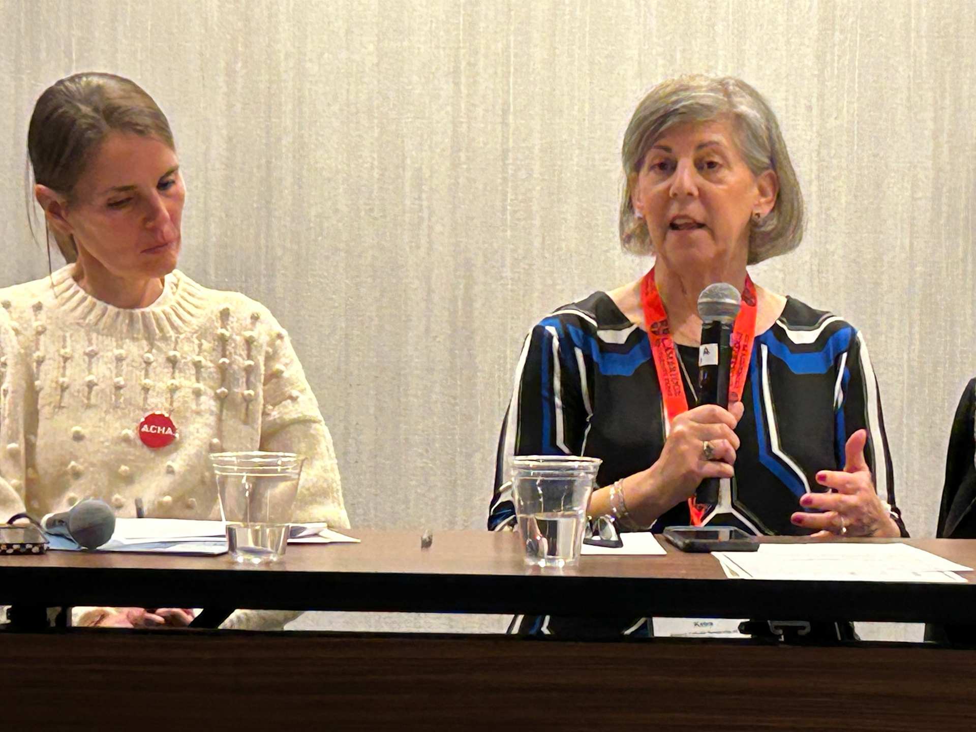 The National Catholic Partnership on Disability’s Charleen Katra (right) speaks at a panel accompanied by former American Catholic Historical Association President Mary Dunn (left). | Credit: Ken Oliver-Méndez/CNA
