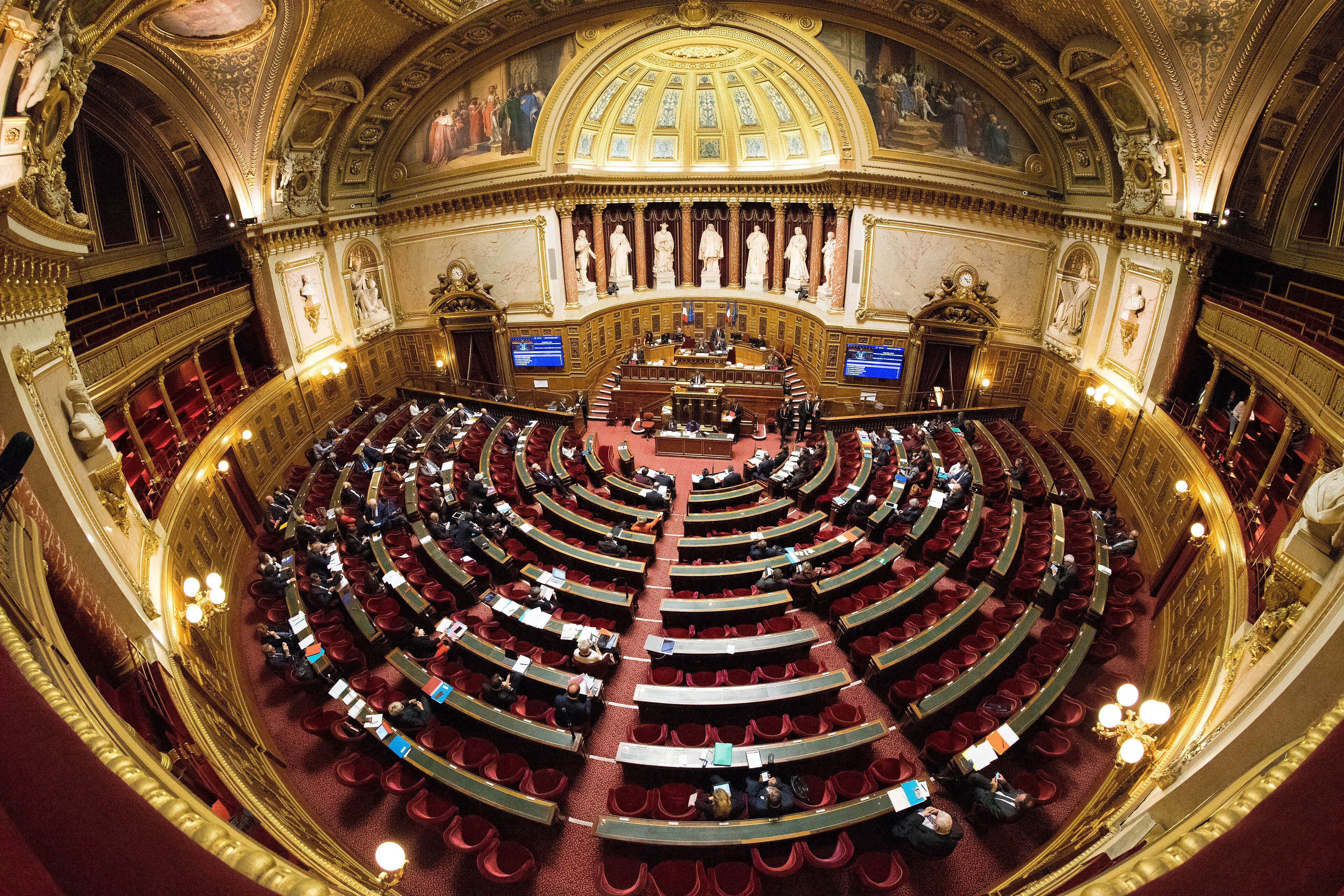 The French Senate, the upper house of the French Parliament. | Credit: Jacques Paquier (CC BY 2.0)