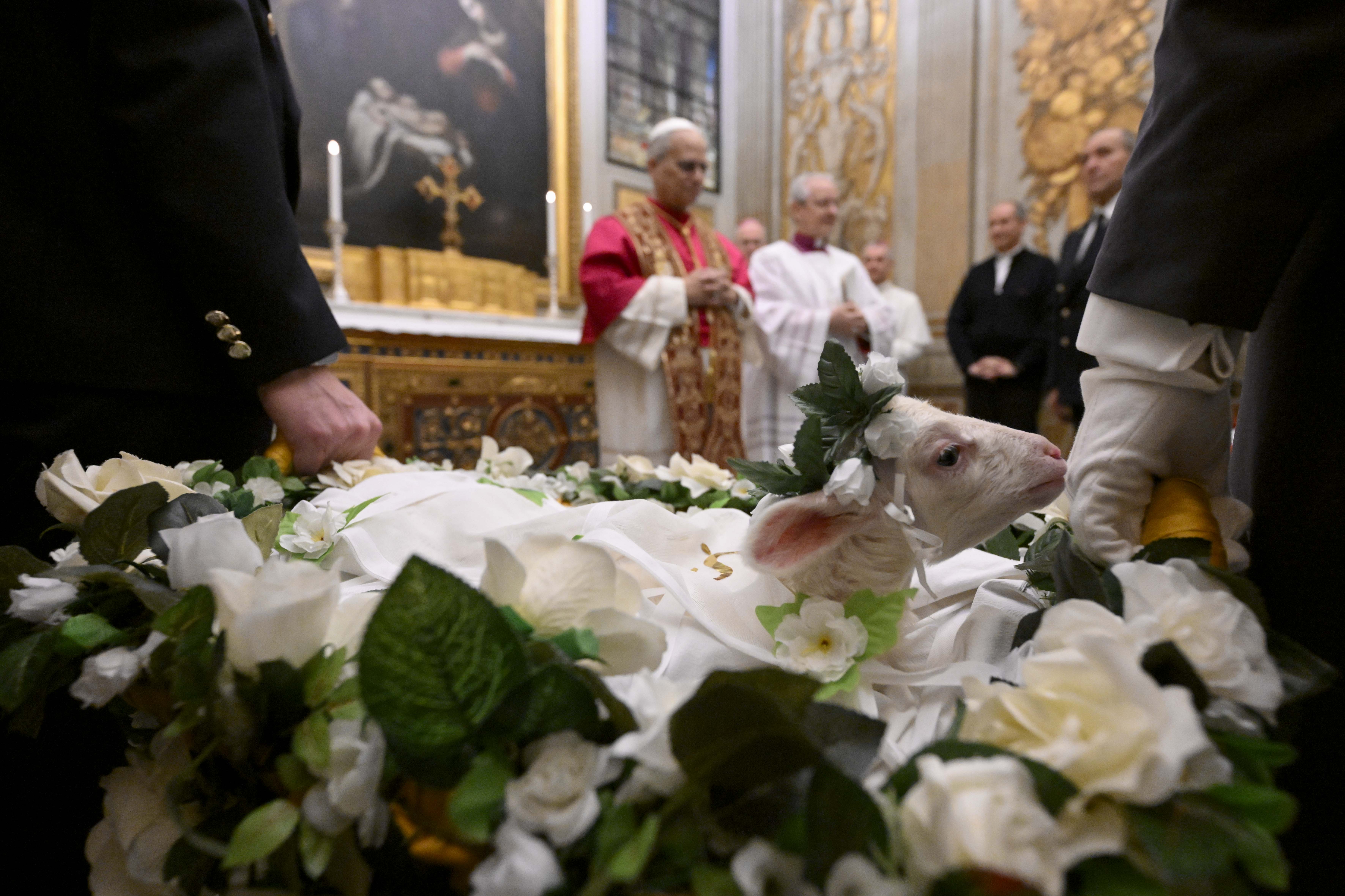 Pope Leo XIV meets a pair of lambs blessed for the feast of the Roman virgin and martyr St. Agnes in the Urban VIII Chapel in the Vatican’s Apostolic Palace on Jan. 21, 2026. | Credit: Vatican Media