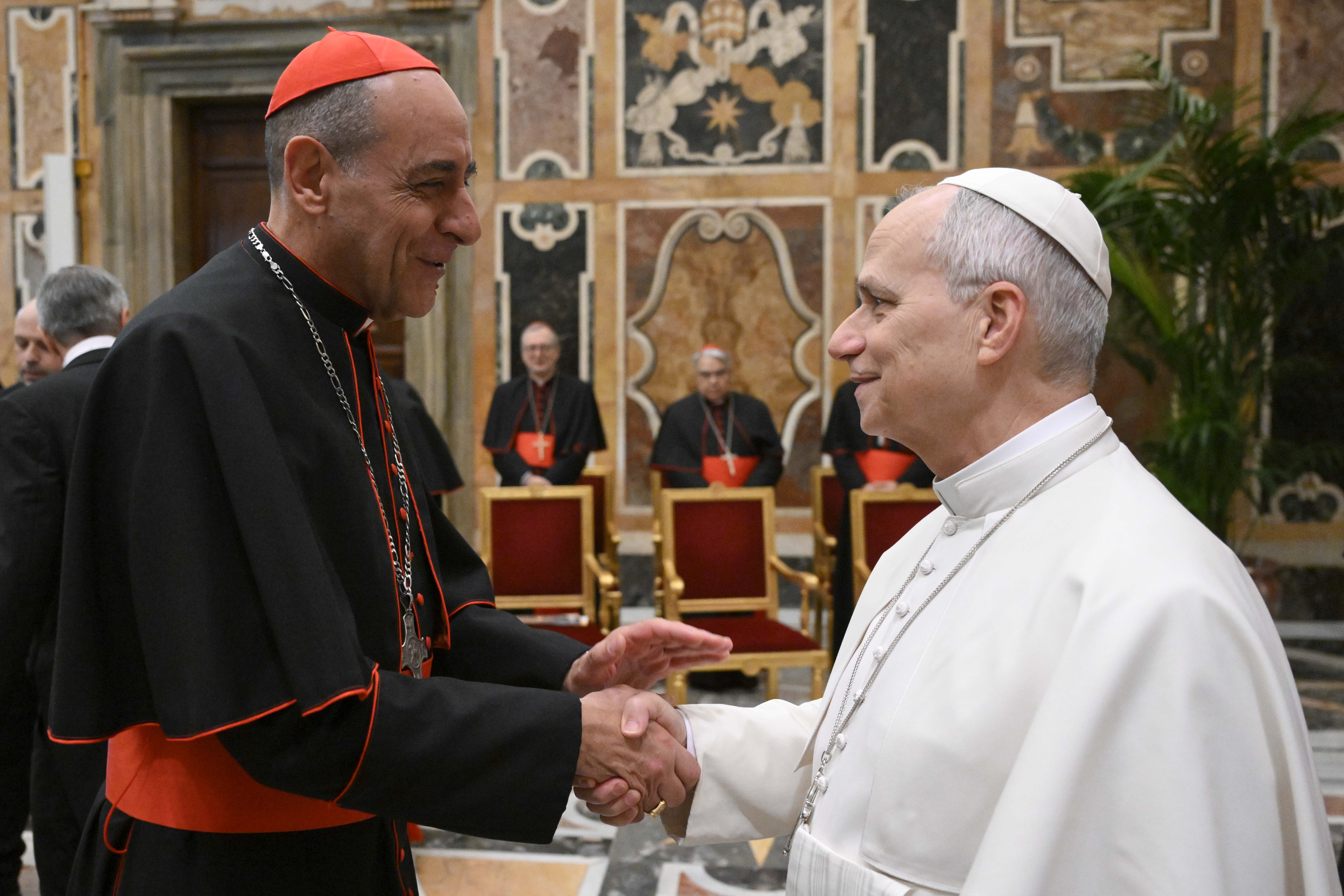 Leo urges doctrine office to give clear guidance in face of new challenges