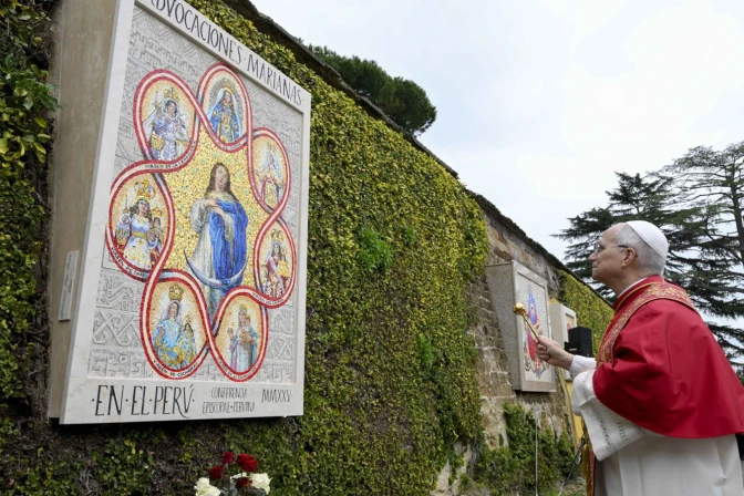 Pope Leo XIV approves new statutes of Pontifical International Marian Academy