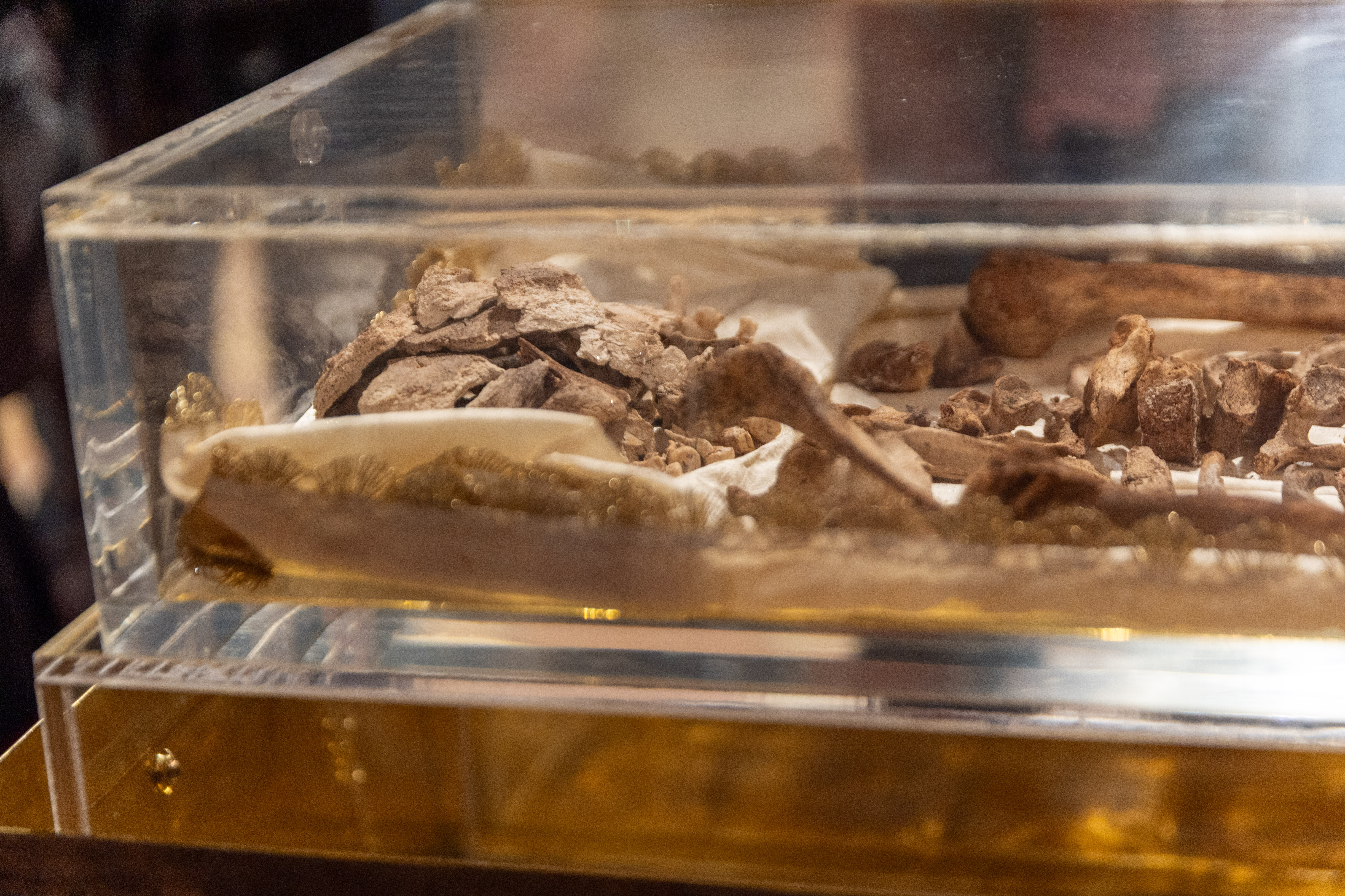 L-għadam ta’ San Franġisk se jkun għall-wiri f’Assisi, l-Italja, mit-22 ta’ Frar sat-22 ta’ Marzu 2026, għat-800 anniversarju mill-mewt tal-qaddis. Kreditu: Daniel Ibanez/EWTN News.