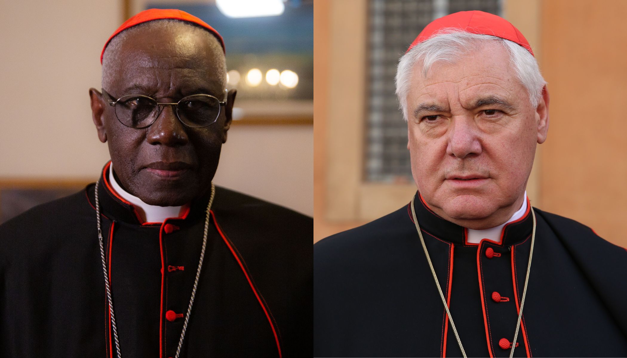 Cardinals criticize Society of St. Pius X for plan to consecrate bishops without papal approval