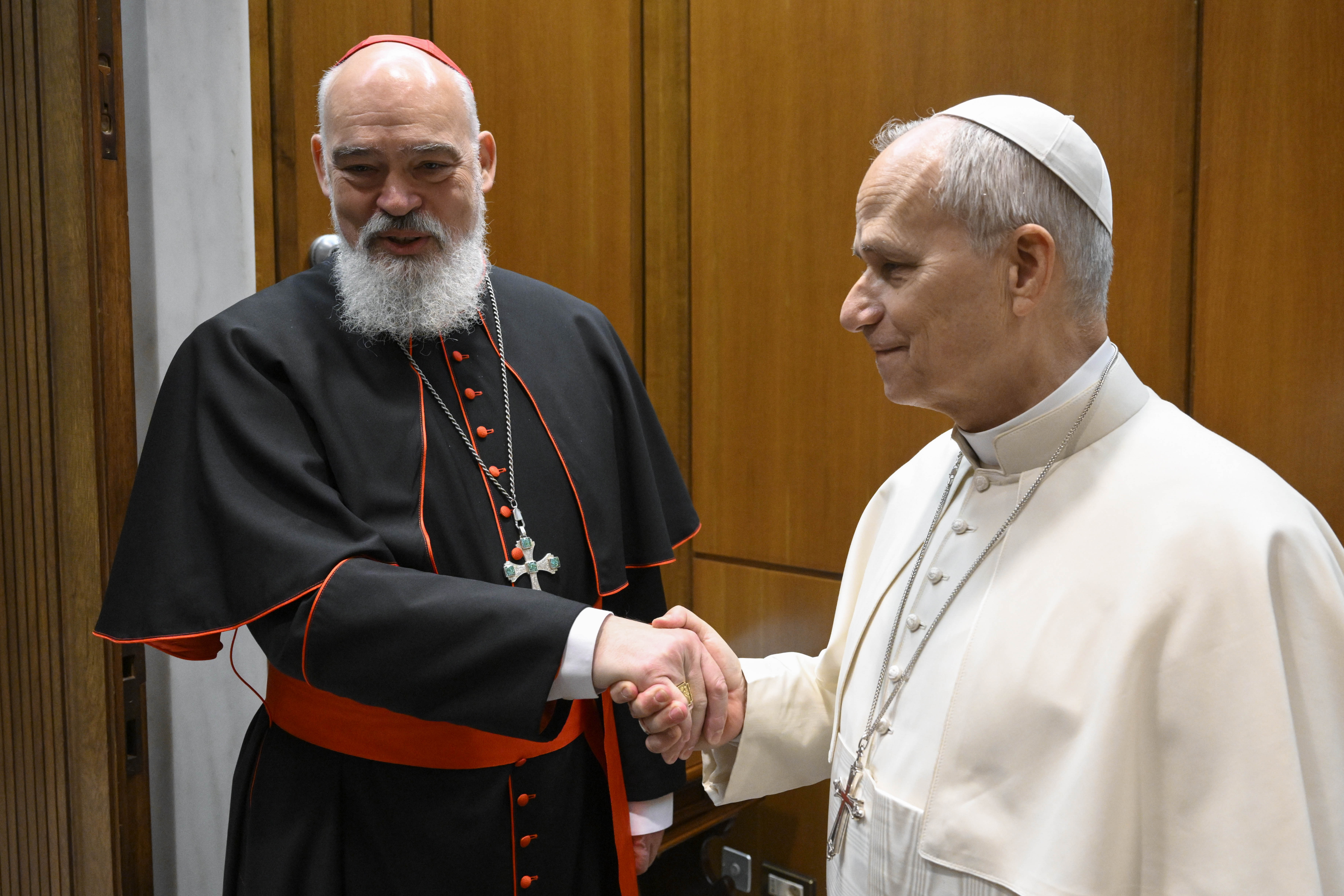 Tehran cardinal meets with Pope Leo XIV after being evacuated from Iran