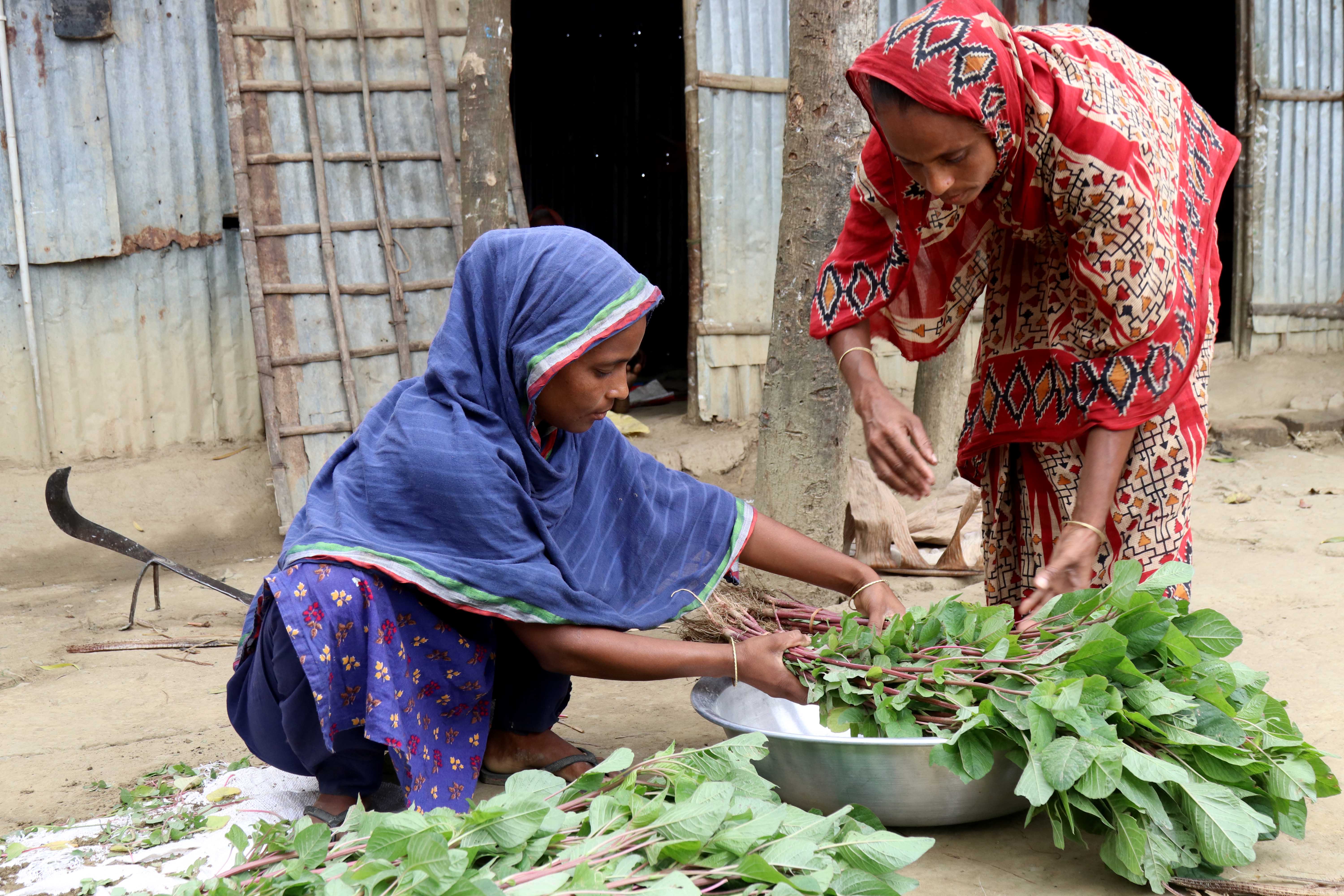 Rubina Begum, 30, sorts leafy greens with a neighbor outside her home in Jamalganj, Bangladesh, on March 16, 2025. | Credit: Stephan Uttom Rozario/EWTN News