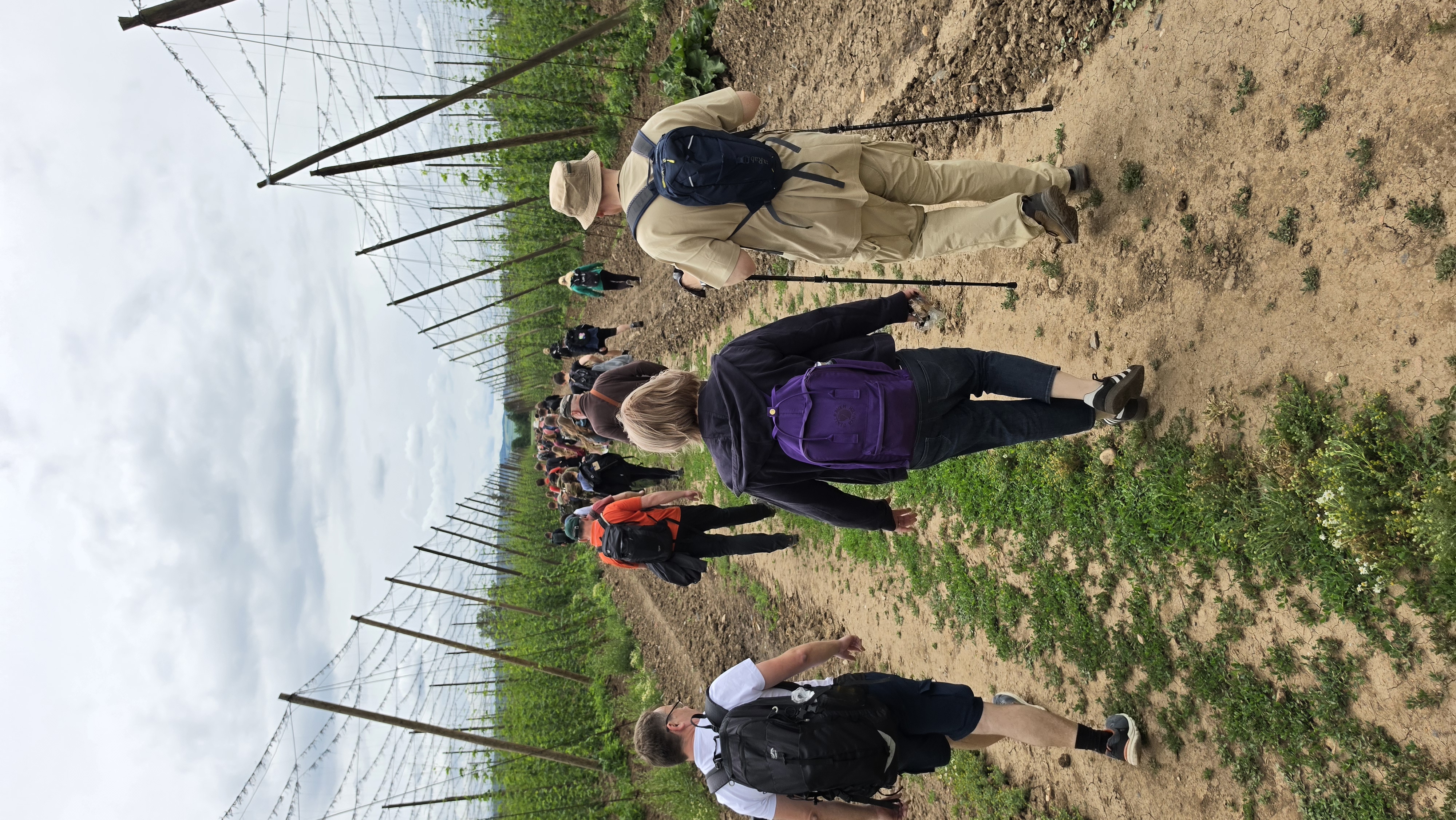 Participants walk through the countryside between Postoloprty and Žatec, Czech Republic, during the reconciliation pilgrimage on June 3, 2026. | Credit: Diocese of Litomerice