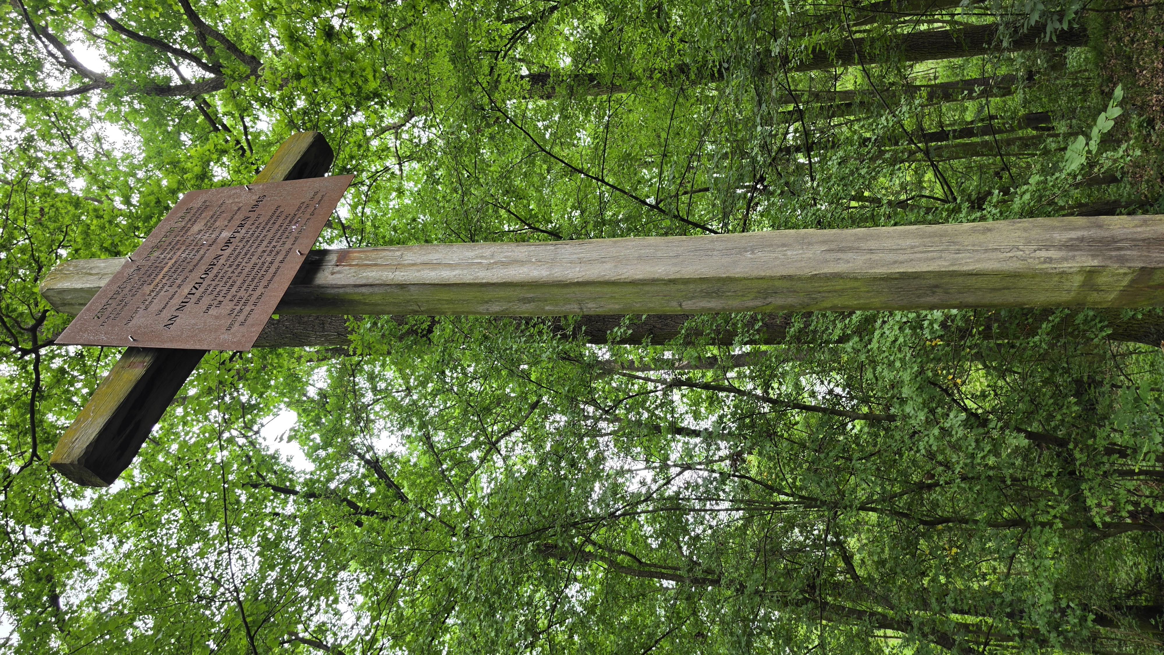 A wooden cross and memorial plaque stand near the mass graves of ethnic Germans killed in 1945, marked during the reconciliation pilgrimage near Postoloprty, Czech Republic, on June 3, 2026. | Credit: Diocese of Litomerice
