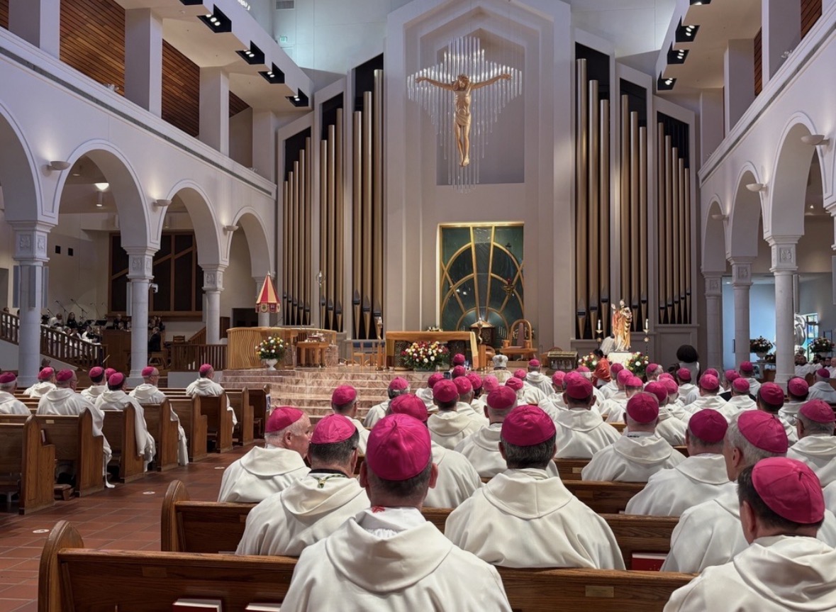 U.S. bishops consecrate nation to Sacred Heart of Jesus