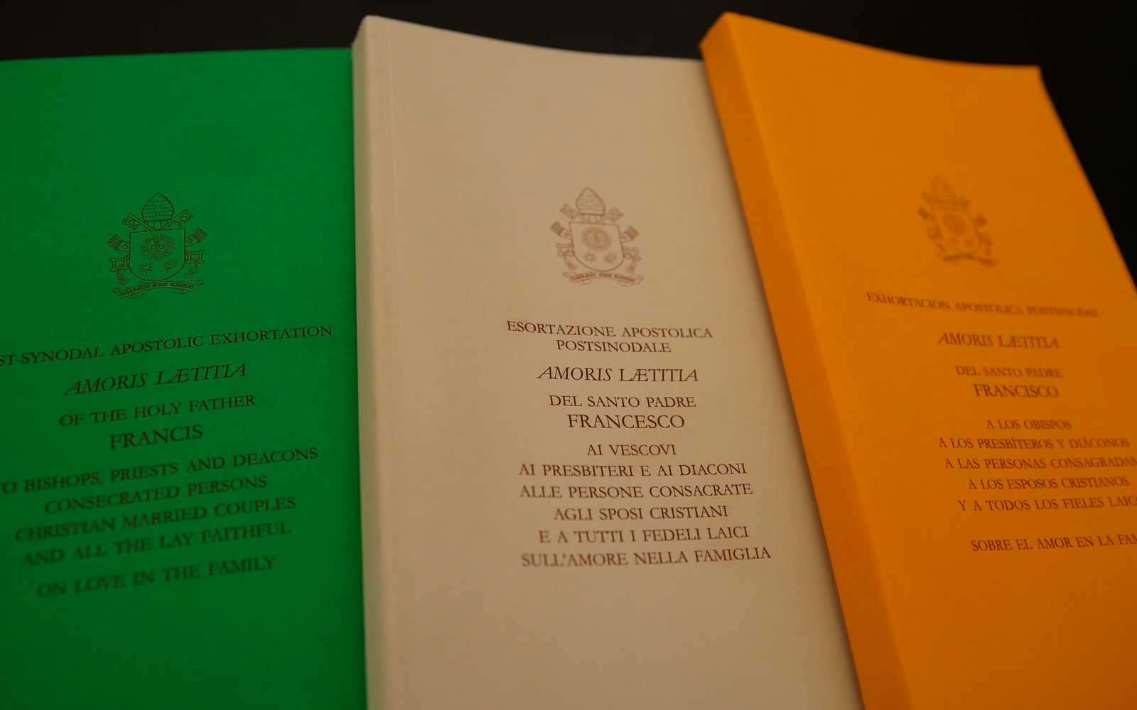 Portada de Amoris laetitia, la exhortación apostólica postsinodal del Papa Francisco sobre la familia. Fue publicada y presentada al público el 8 de abril de 2016. | Crédito: Daniel Ibáñez/EWTN News.