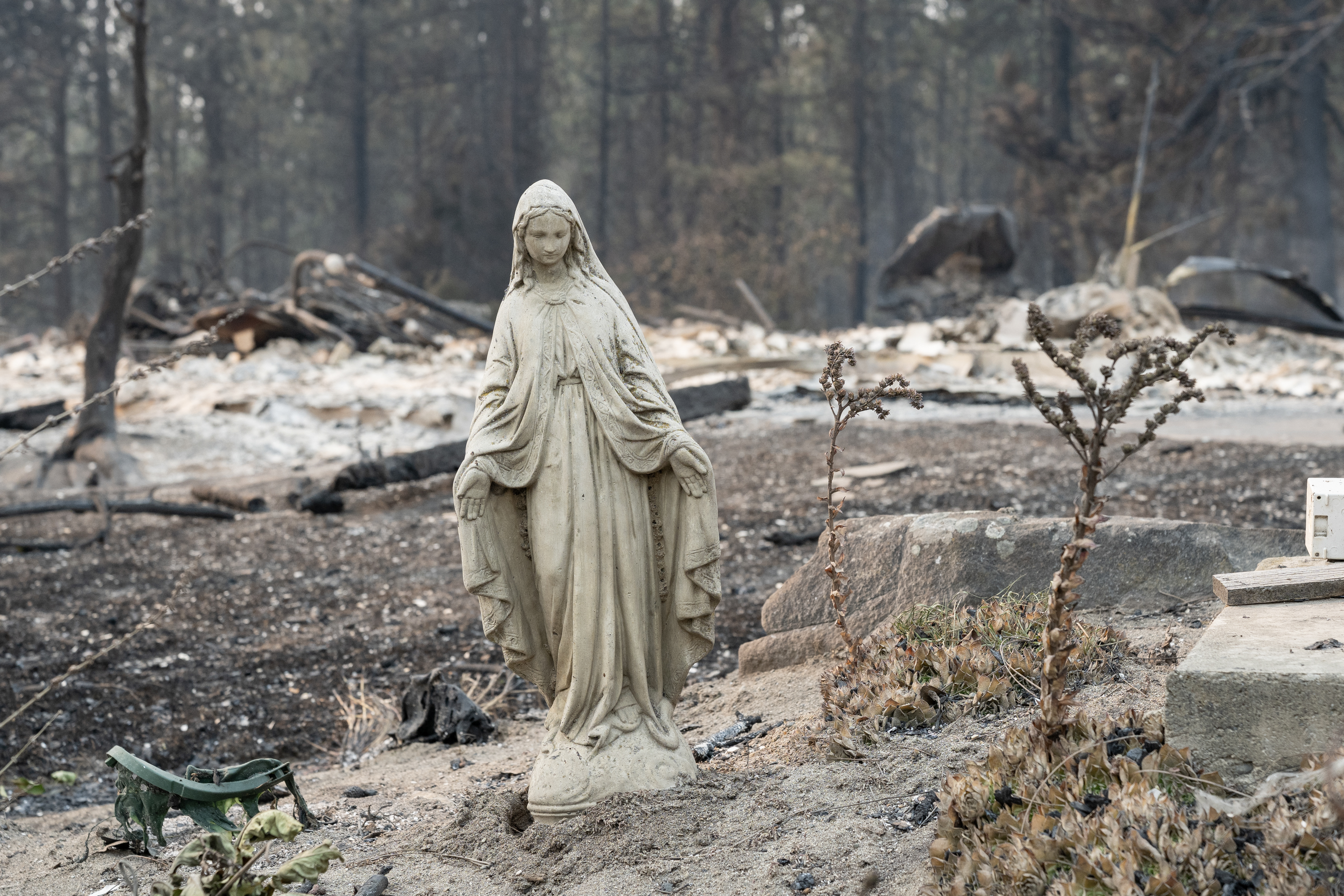 Spokane Bishop Daly calls for prayers amid ‘devastating’ wildfires in Washington state