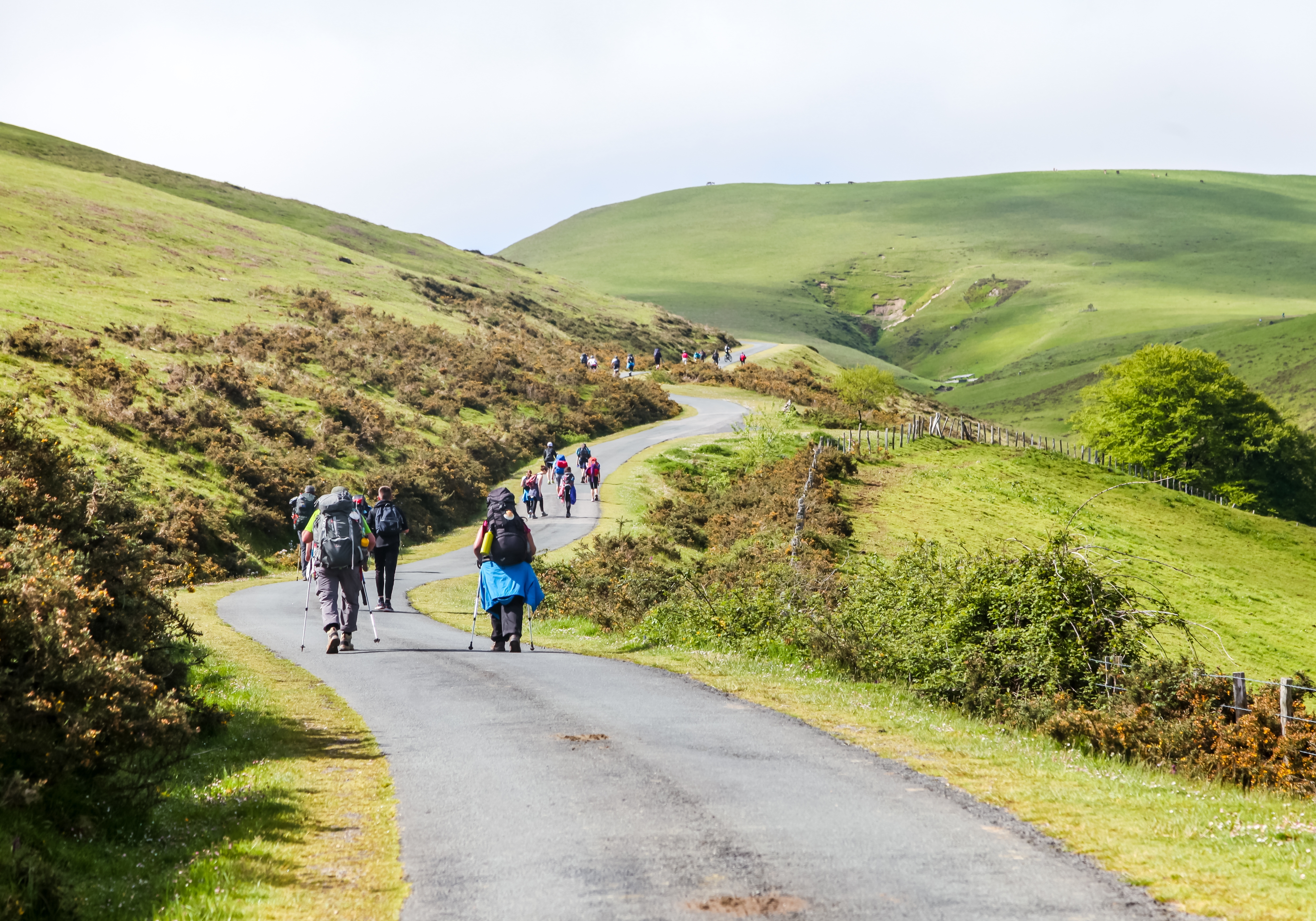 Dos peregrinos suben por una colina en el Camino de Santiago. Crédito: Shutterstock.