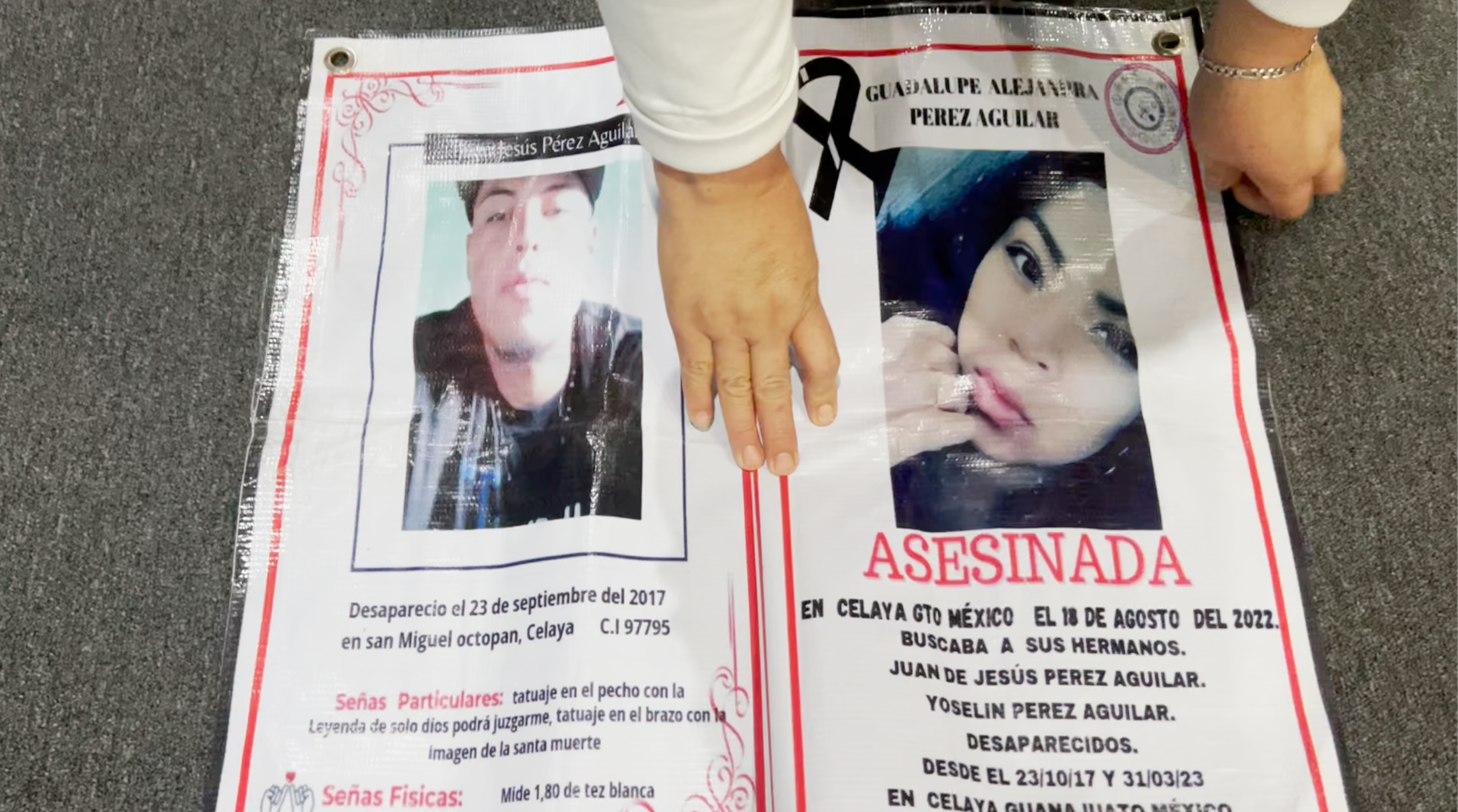 A la izquierda, la ficha de Juan Jesús Pérez Aguiar, desaparecido y asesinado en 2017. A la derecha, Guadalupe Alejandra asesinada en 2022. Crédito: Diego López Colín / EWNT News.