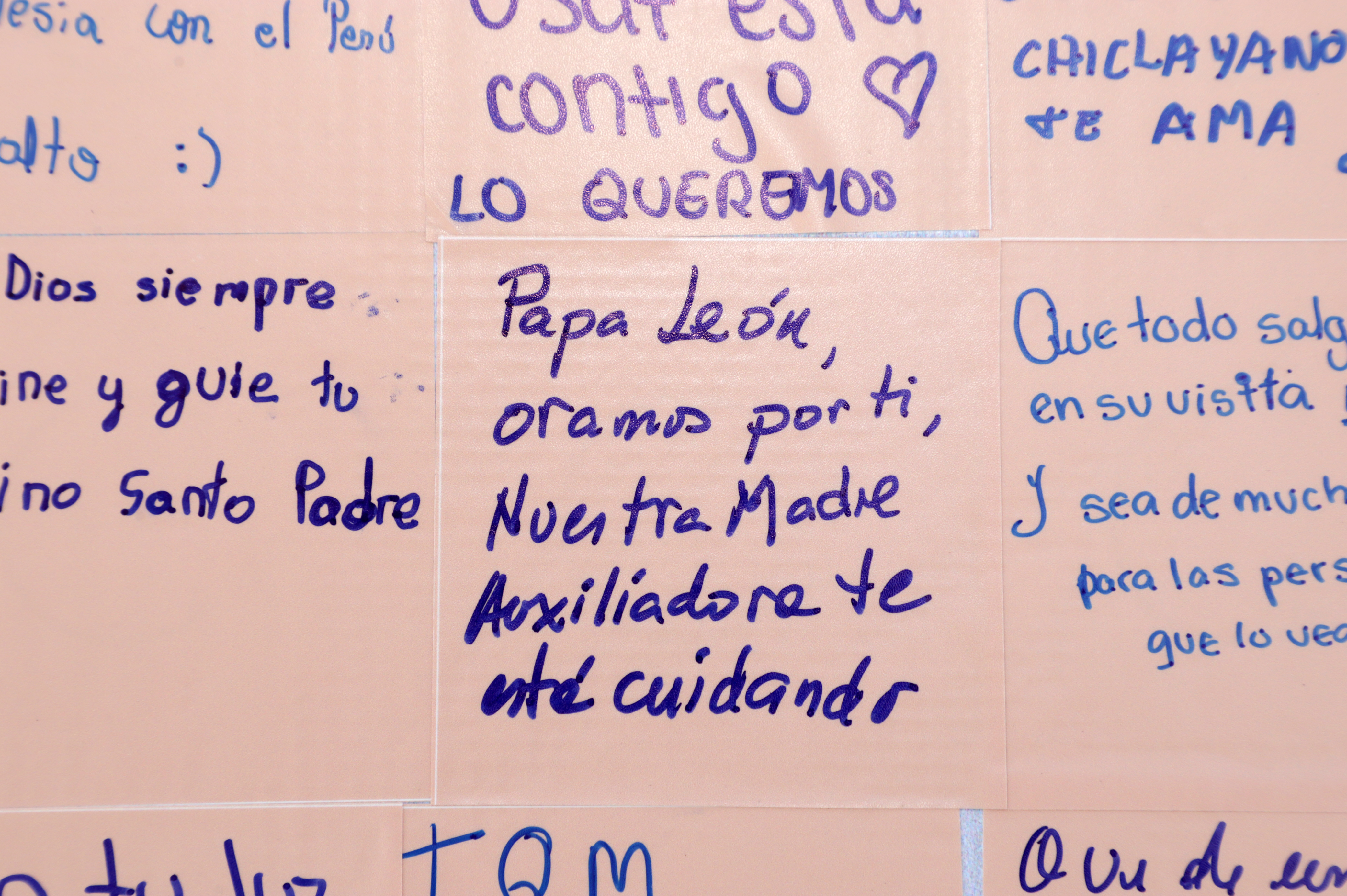 "Papa León, oramos por ti, Nuestra Madre Auxiliadora te esté cuidando". Crédito: Juan Gil